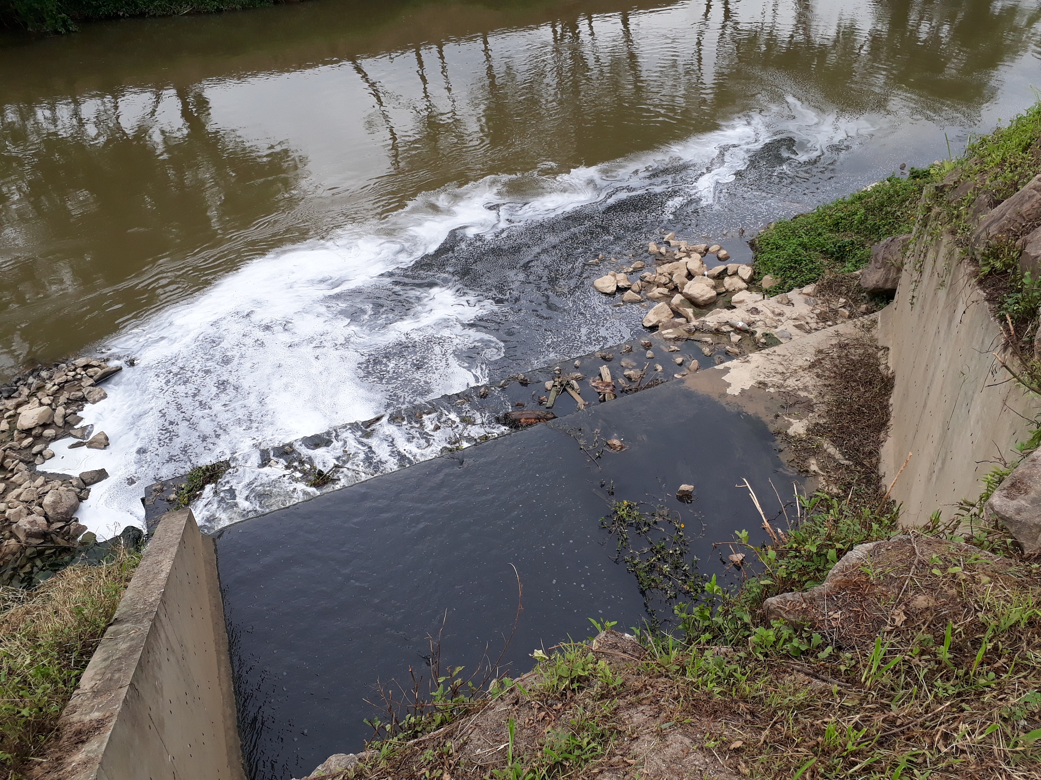 Songhua River Water Pollution Incident: A Case for Enhanced Environmental Protection in China