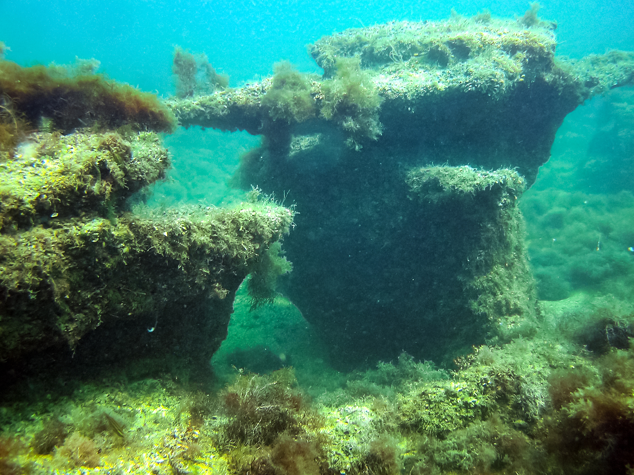 the nature of the seabed