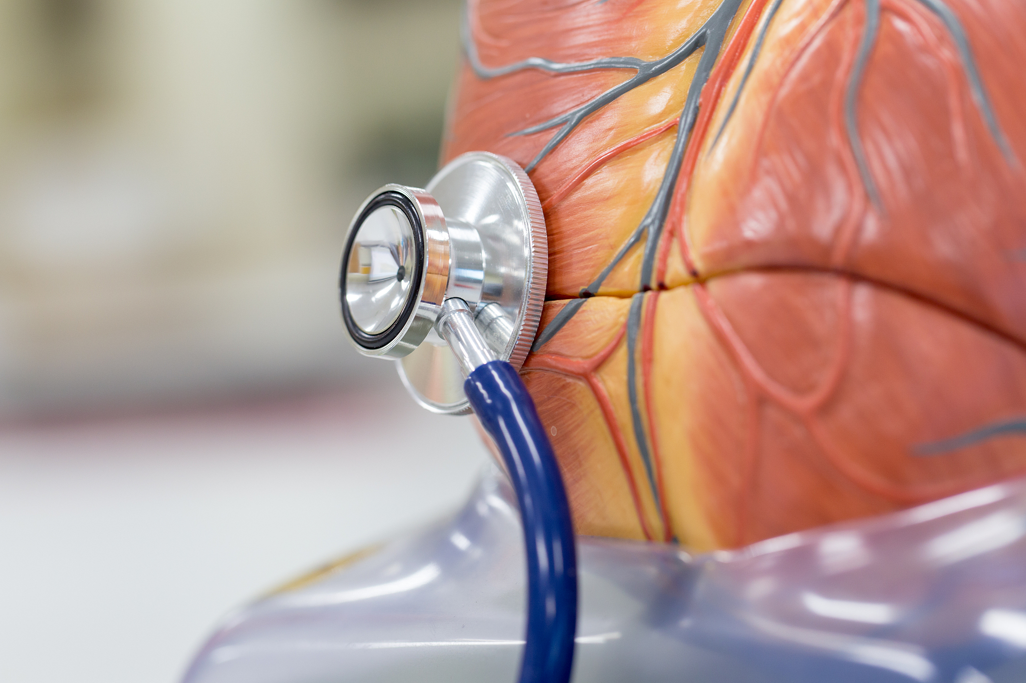 1+3医学复读班2023已更新今天动态