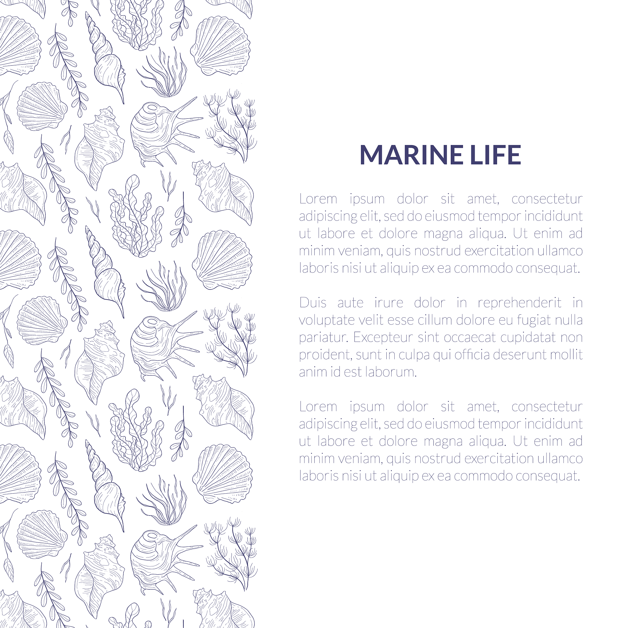 marine life banner template with place for text and underwater s
