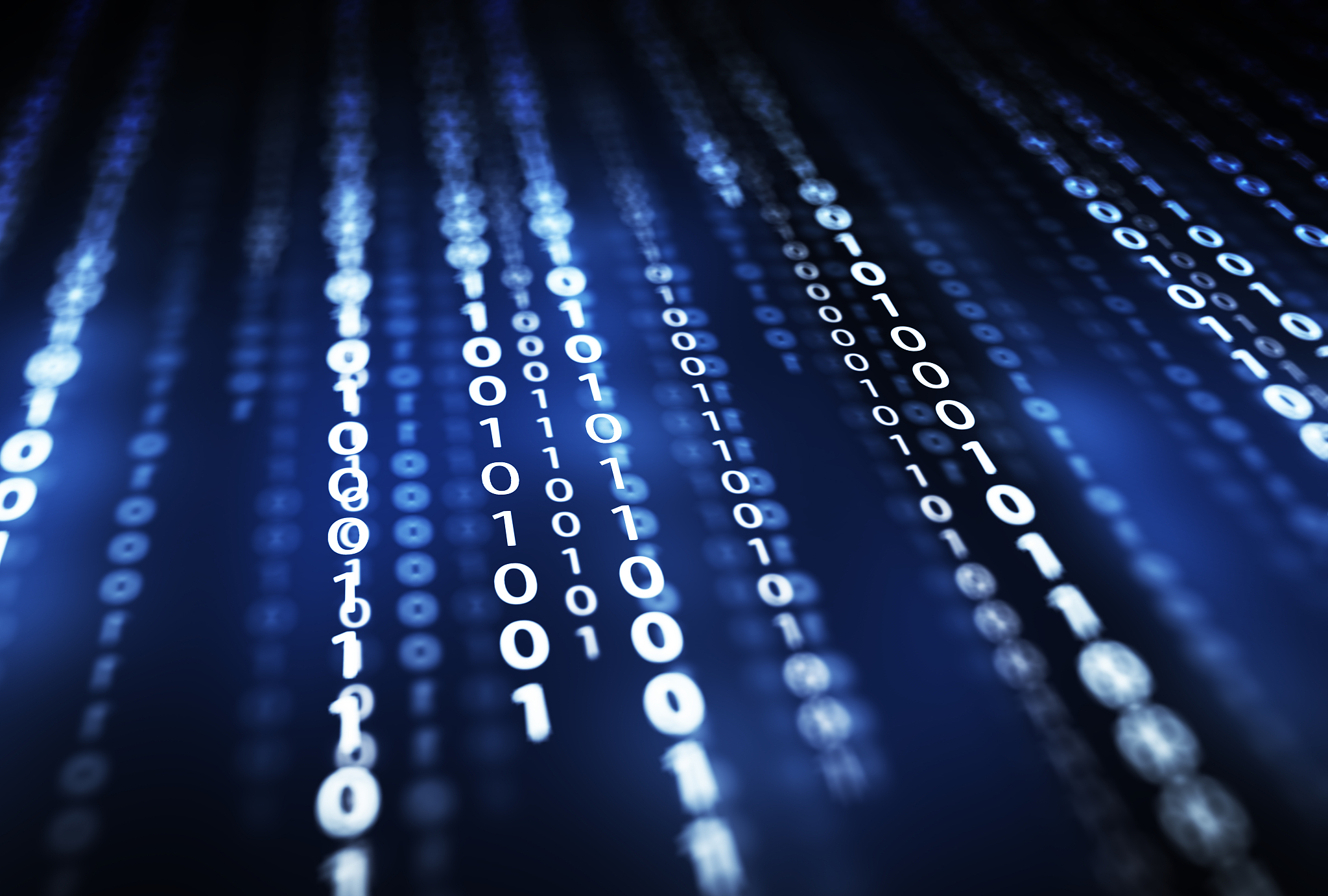 二进制详解：11的二进制表示及应用