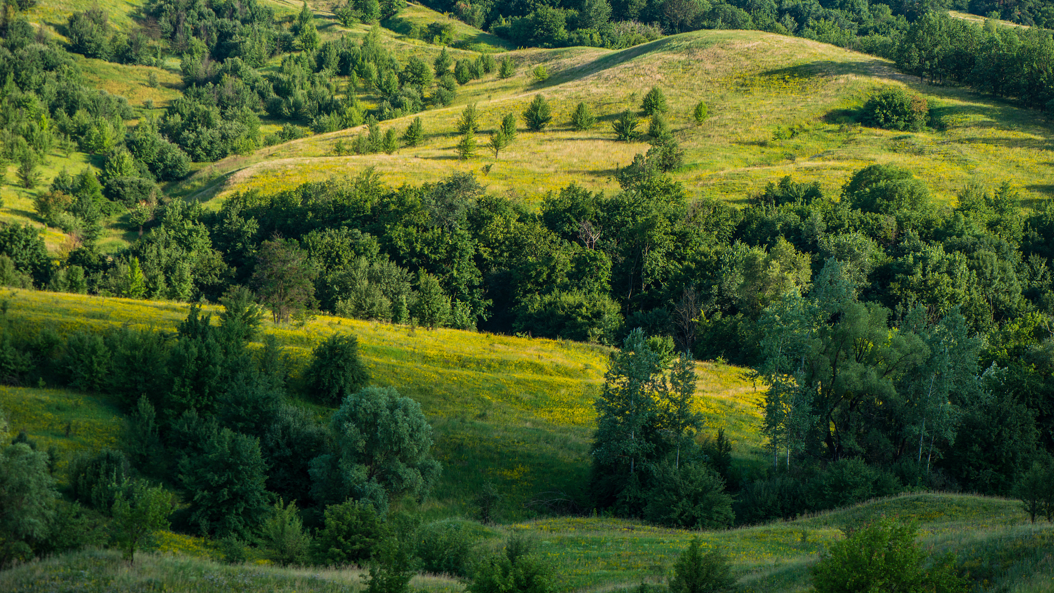 meadows and forests on the hillsides, panoramic landscape in the