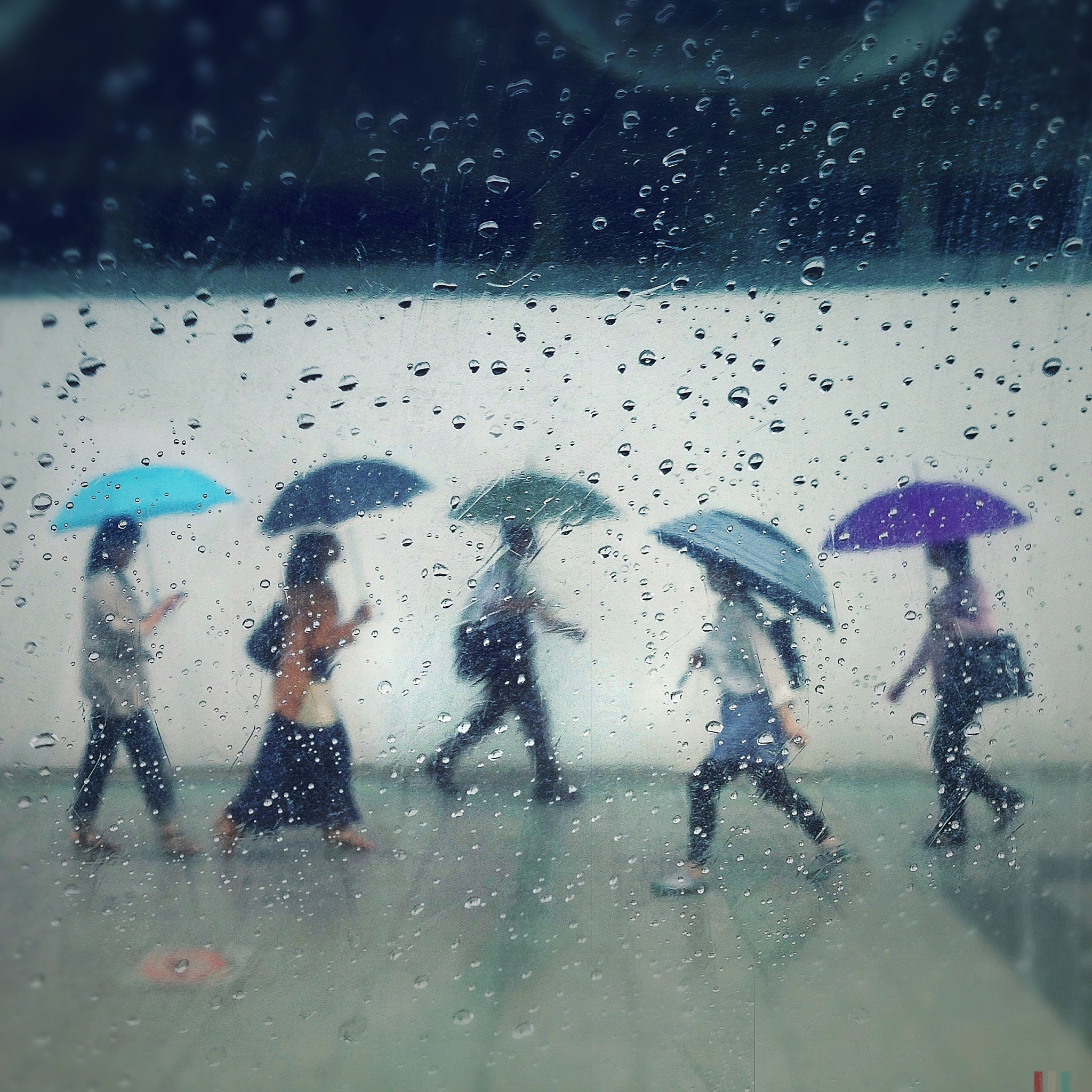 模仿许嵩重写降温