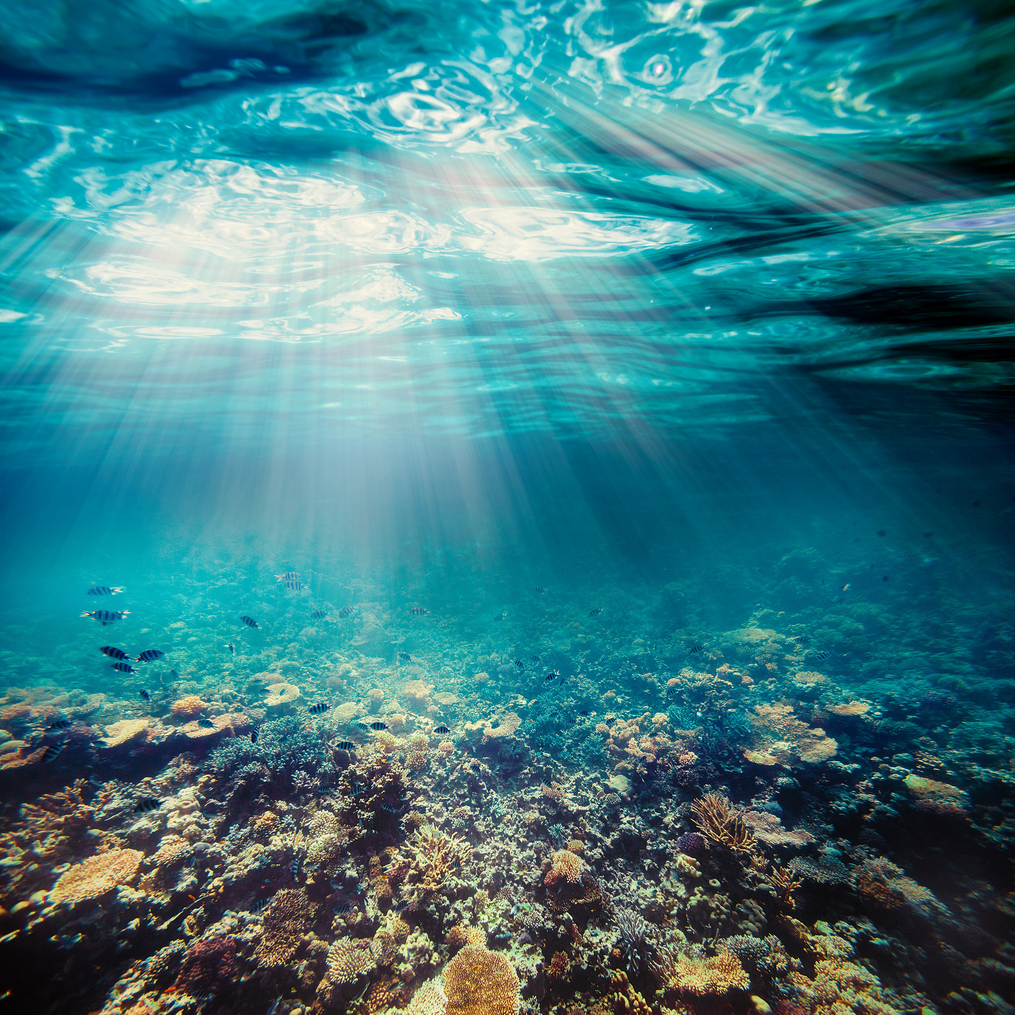 underwater