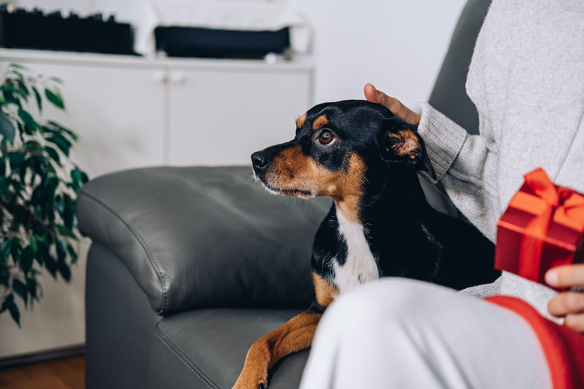 昆明市农业兽医学校2019年五年制大专招生介绍
