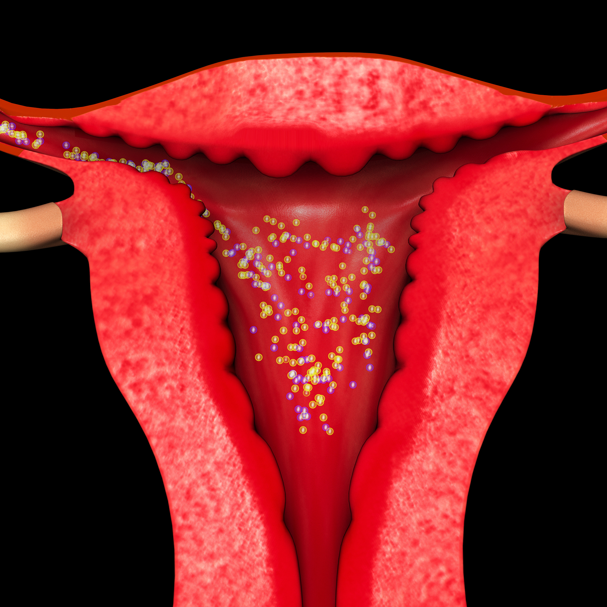 34岁未婚未育单身女性生理状态