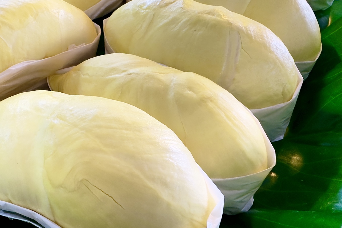 榴莲禁忌食物：哪些食物不能和榴莲一起吃？