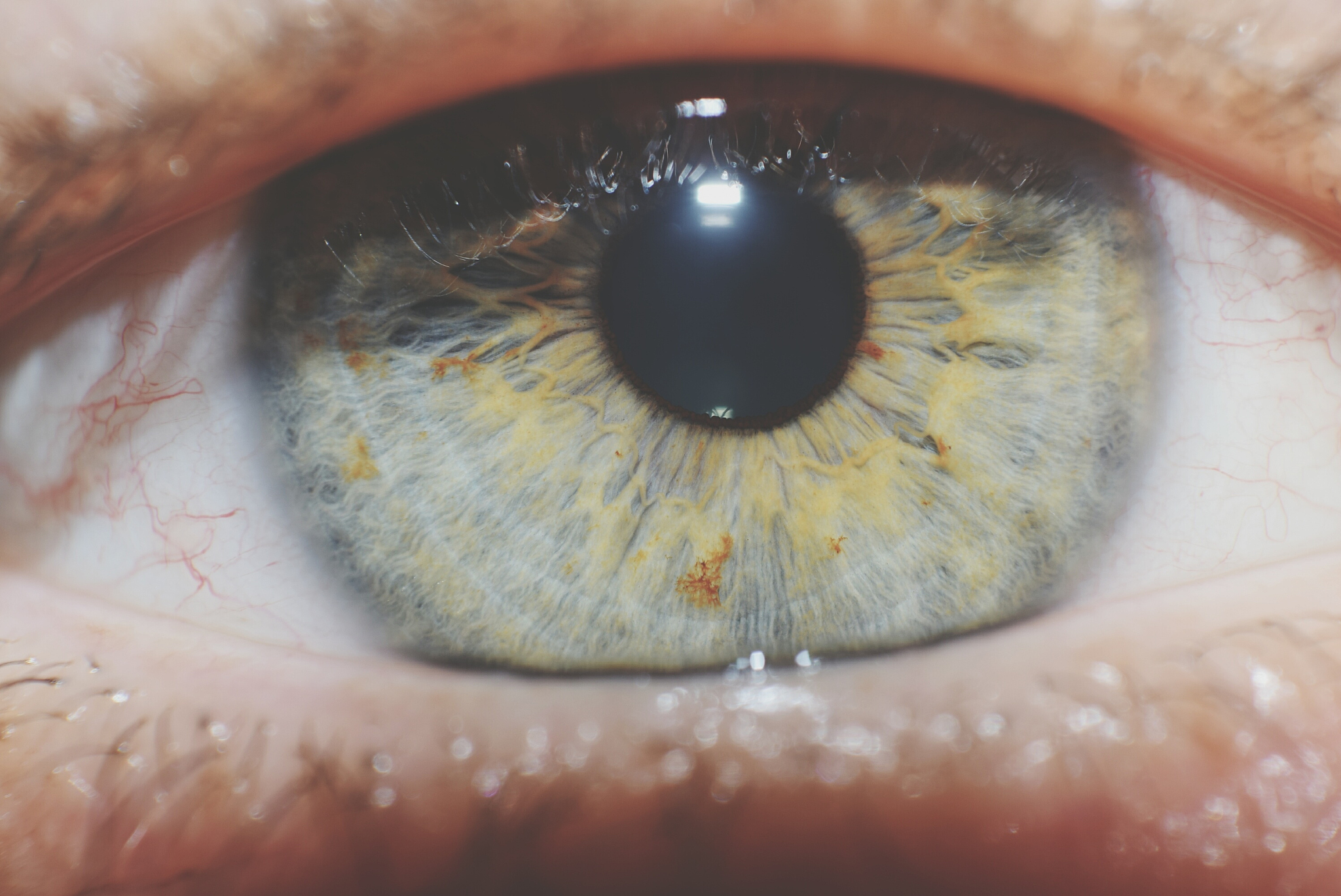 close-up of human eye