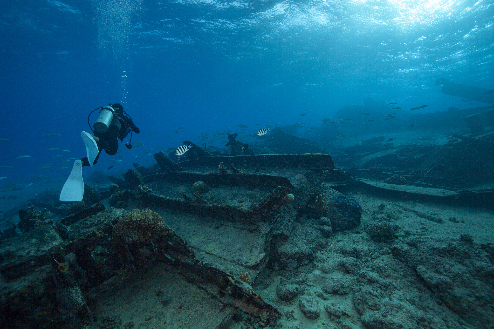 sunken ship diving