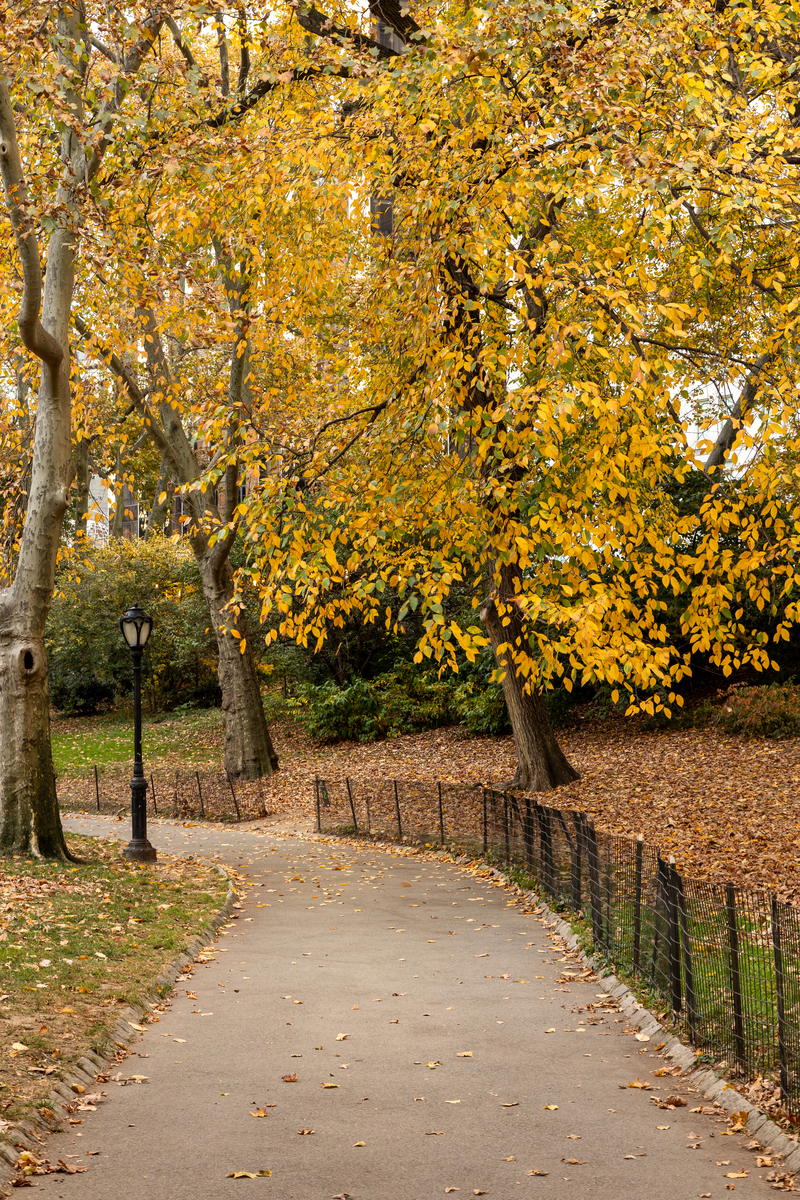 秋日漫步：感受大自然的美丽与宁静