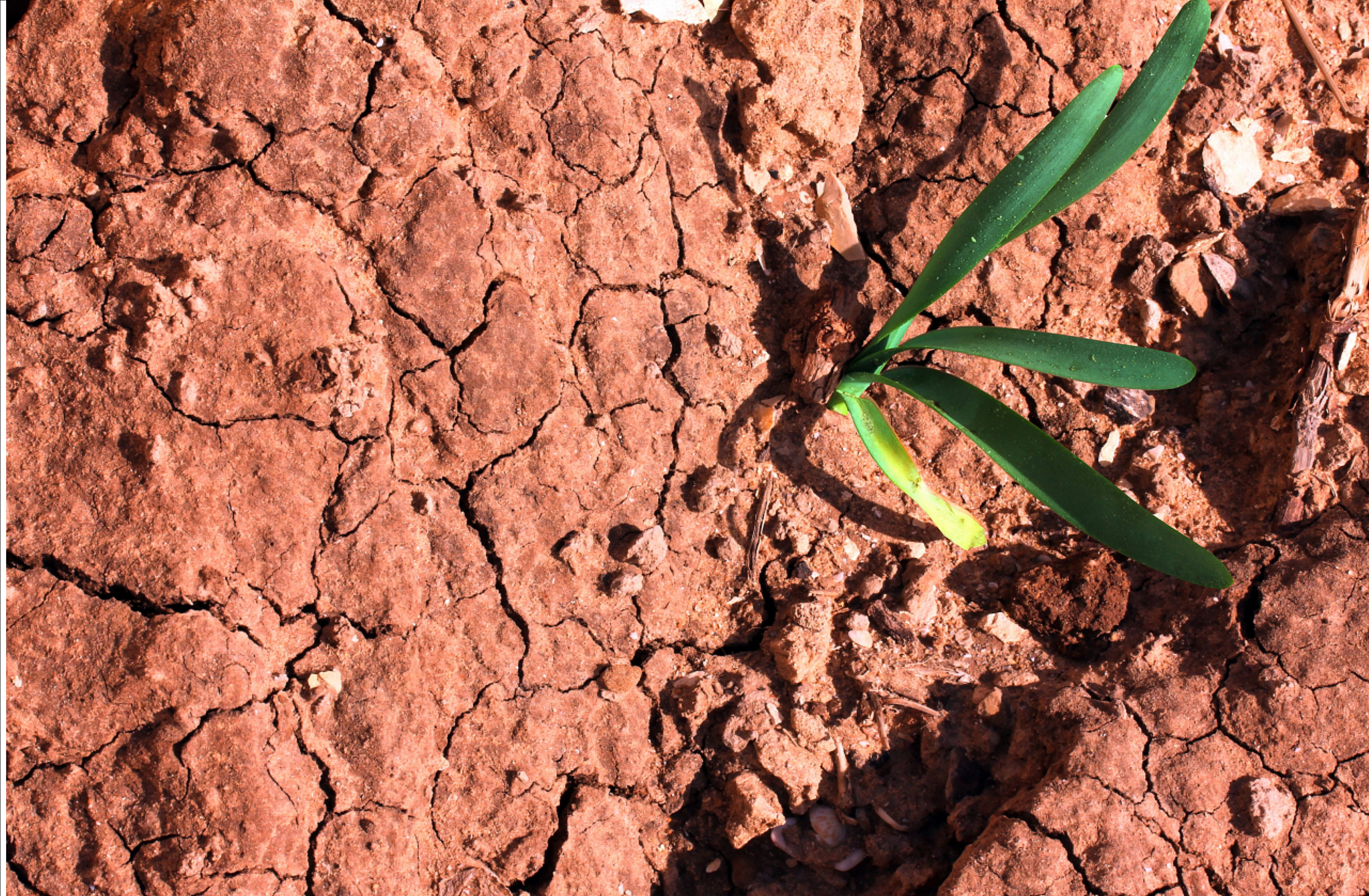 有效土壤厚度有什么作用