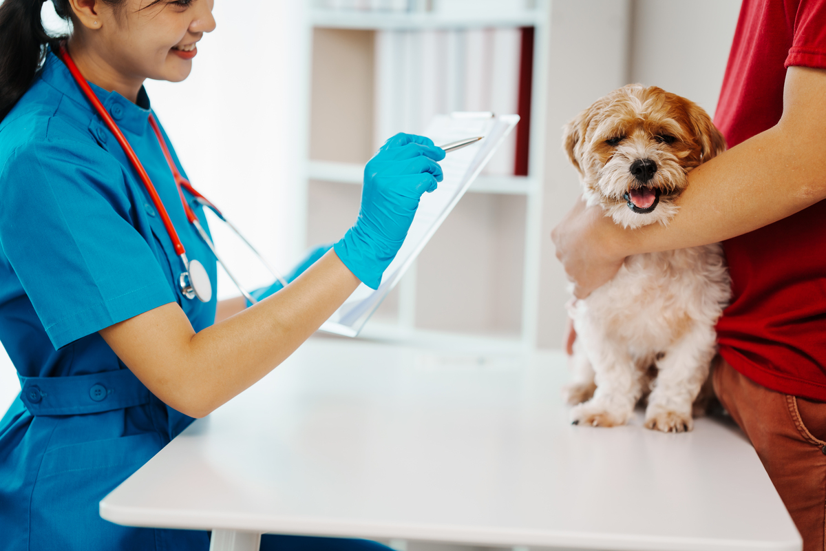 曲靖宠物兽医养殖学校2019年五年制普通大专报读条件