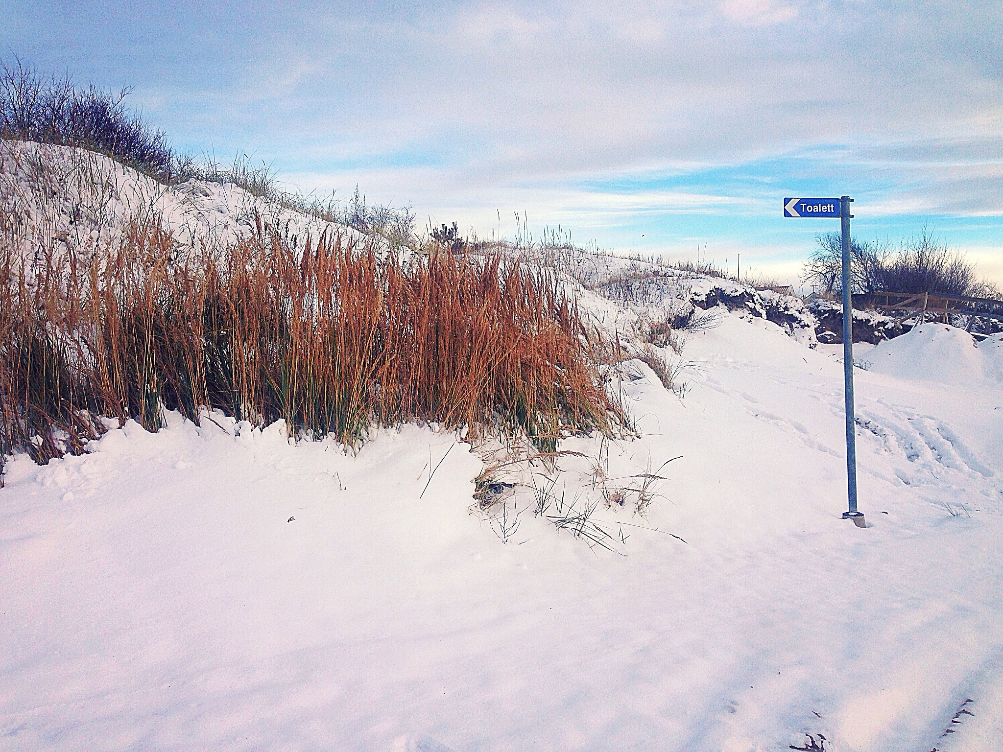 Challenging Conventional Wisdom: A 6-Year Field Experiment in the North China Plain's Wheat-Maize Rotation