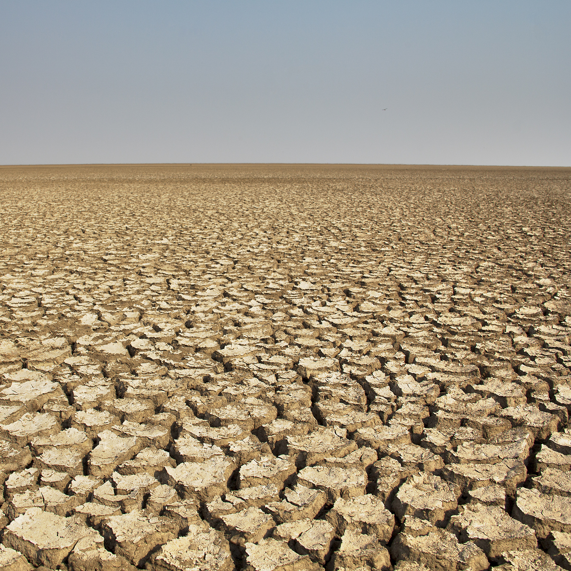 沙漠缺水的原因：地形、气候和蒸发