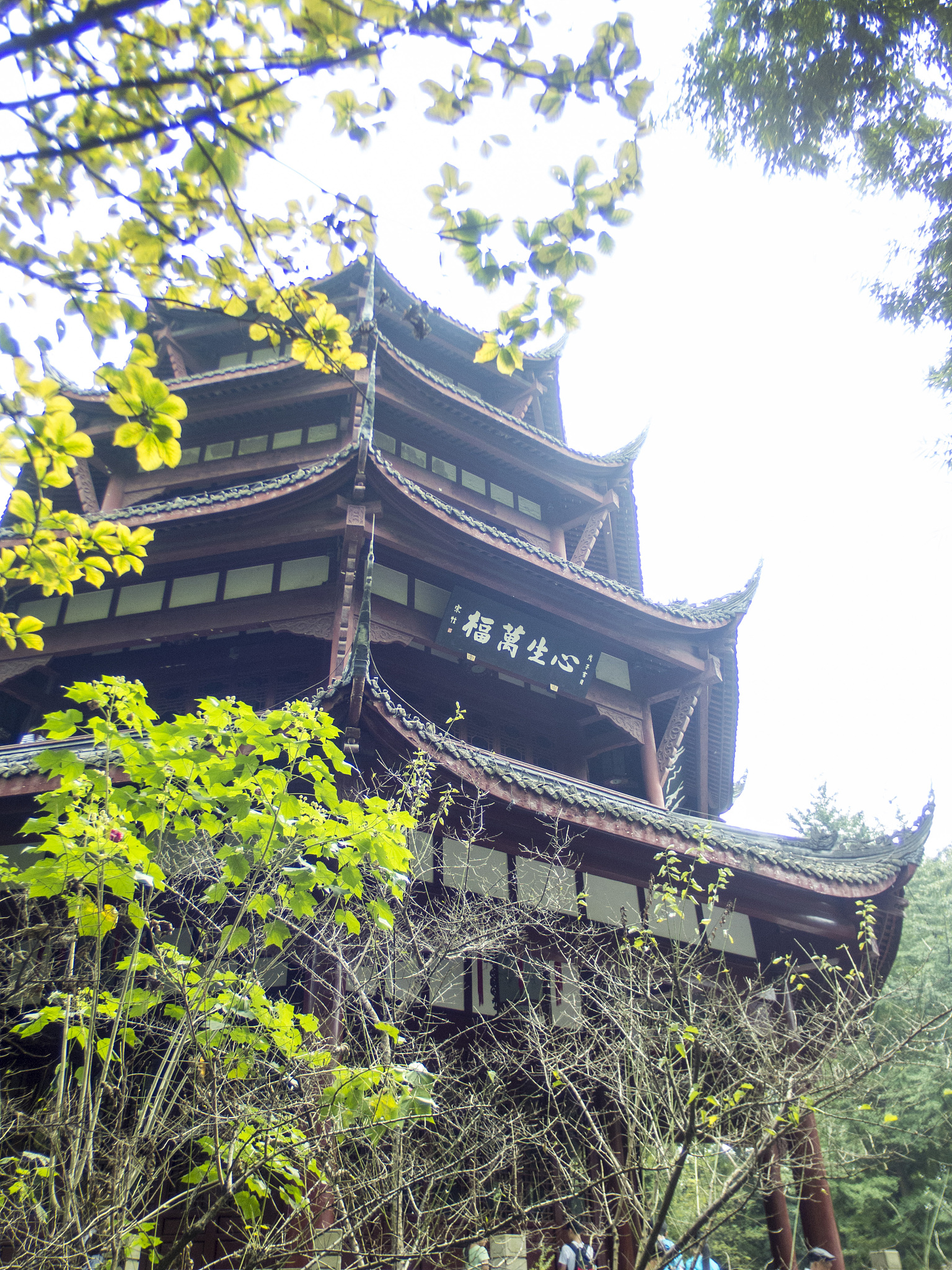 四川五年制大专院校有哪些？推荐几所好学校