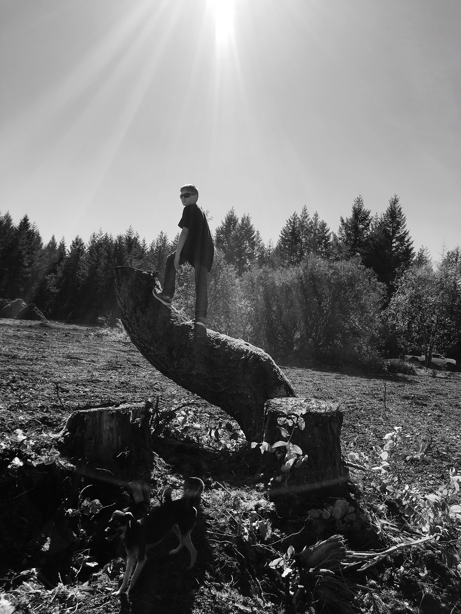 请帮我把以下两段话提取出共同的主旨要列出来并形成一篇文章字数控制在500字。第一句话：小说《这是一片神奇的土地》通过描述垦荒者们在恶劣环境下的生活和死亡展示了他们的痛苦与欢乐、希望与追求、压抑、张扬与奋斗、牺牲、精神的贫乏与富有、人性的异化与回归以及悲剧精神的崇高壮烈并阐发了悲剧所阐发出来的哲理。第二段话：《土地》是一部以真实、深刻、博大的艺术力量展现了历史真相、社会心态和对自身的反思、警策和顿悟