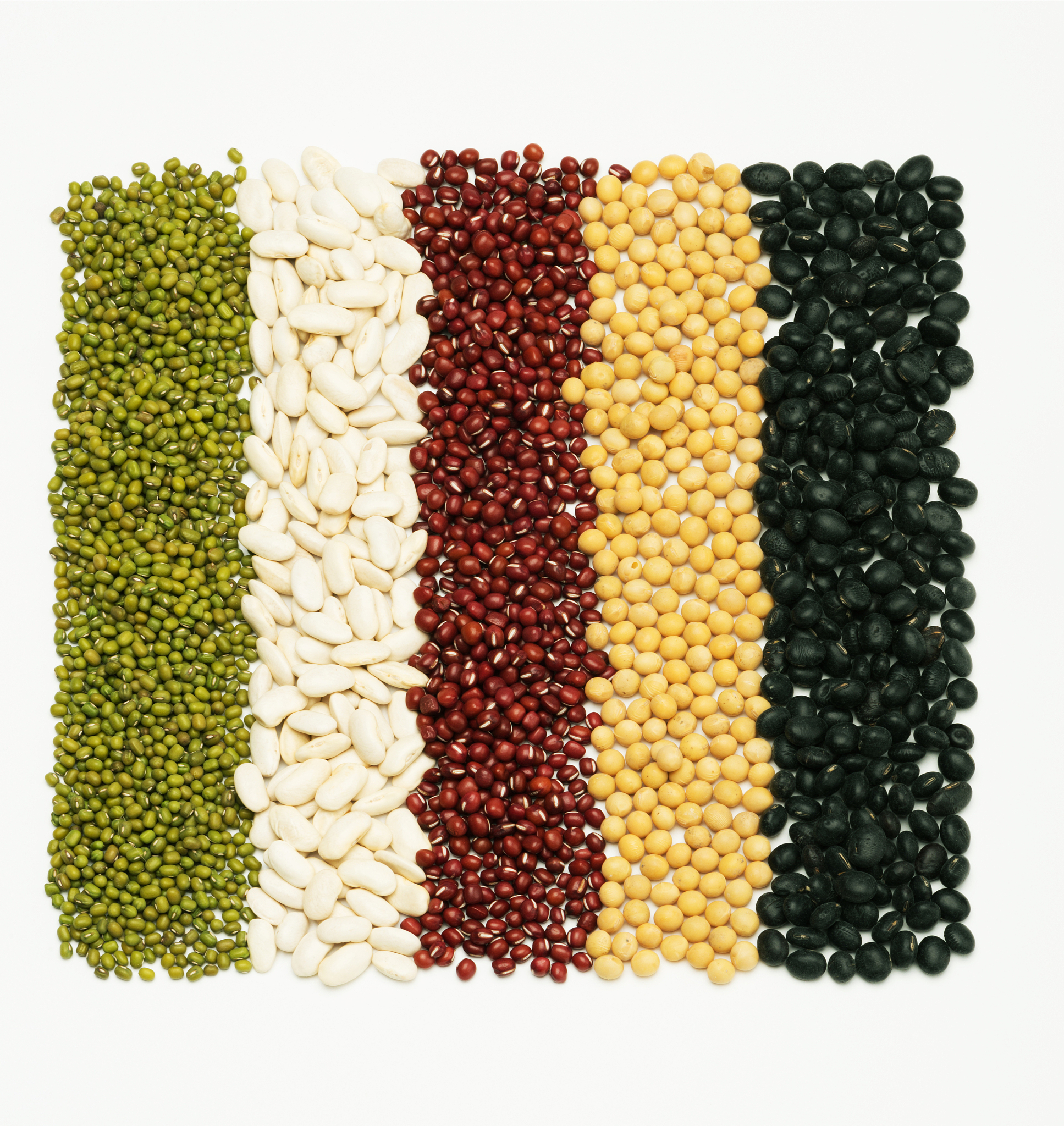 菜豆芸豆、绿豆、小豆红小豆、赤豆、蚕豆、豌豆、豇豆、小扁豆兵豆、黑豆收割播种方式大致一样吗