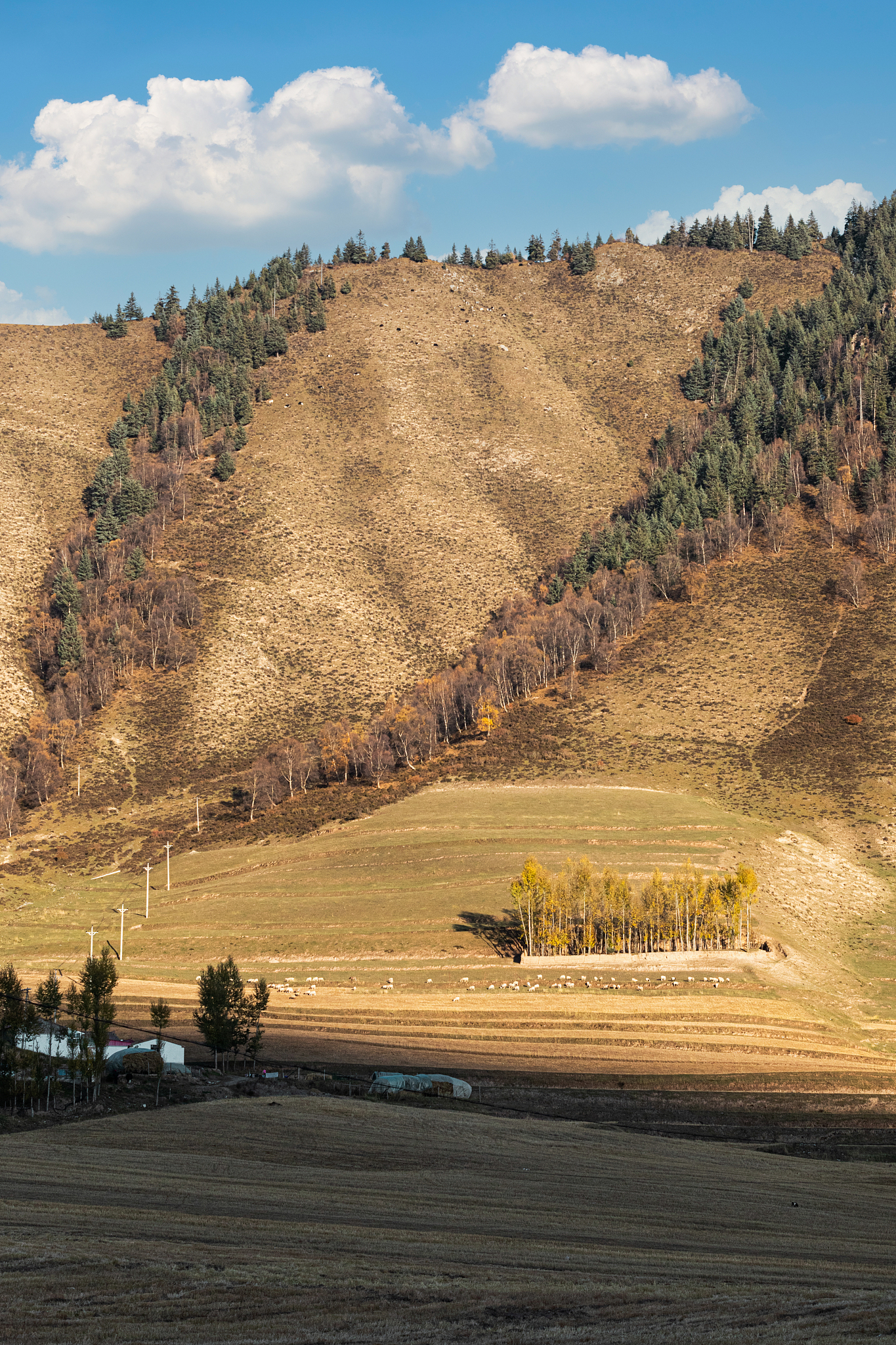 苹果手机拷贝与复制的区别：功能、场景和操作