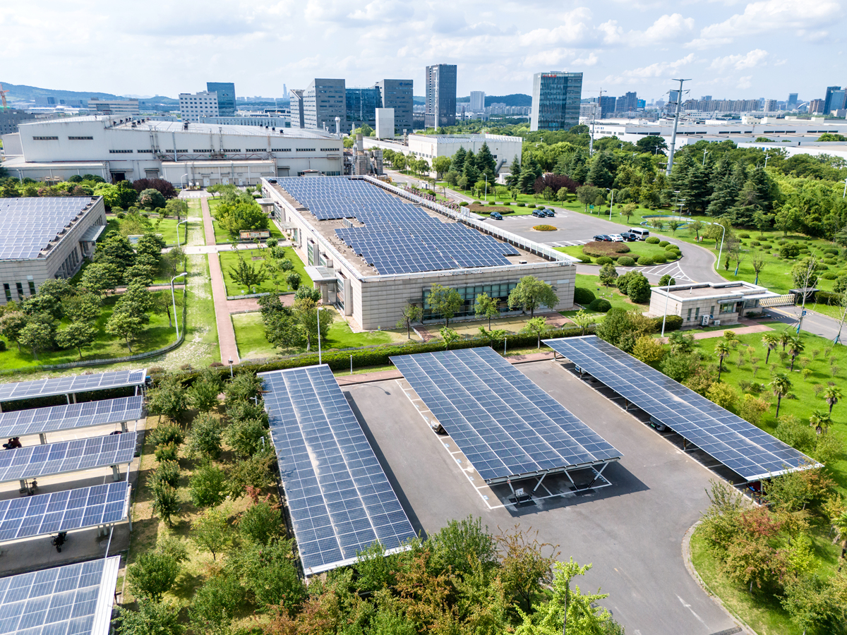 大型全钒液流电池储能电站项目有哪些