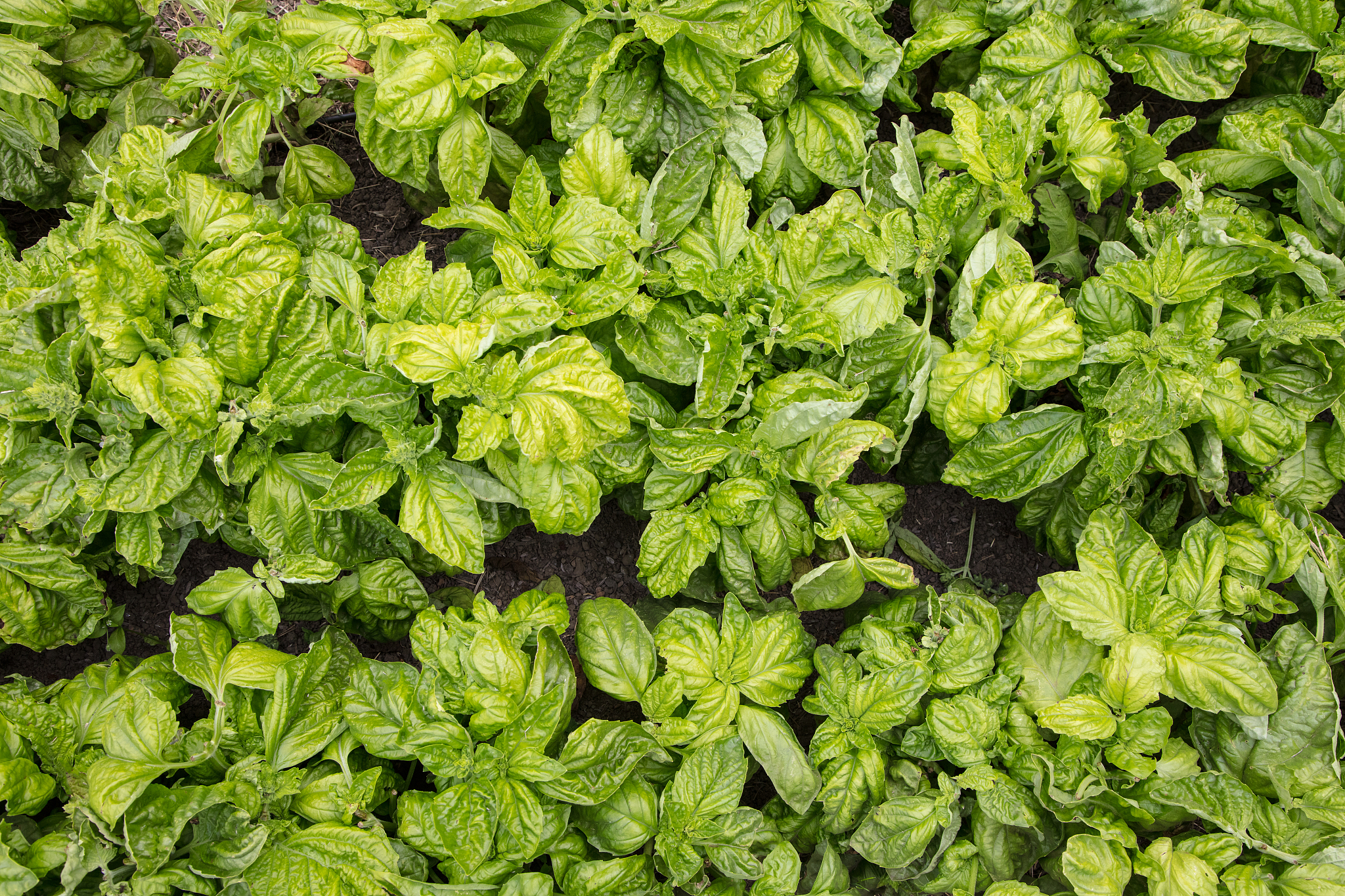 云南省曲靖农业学校热门专业用