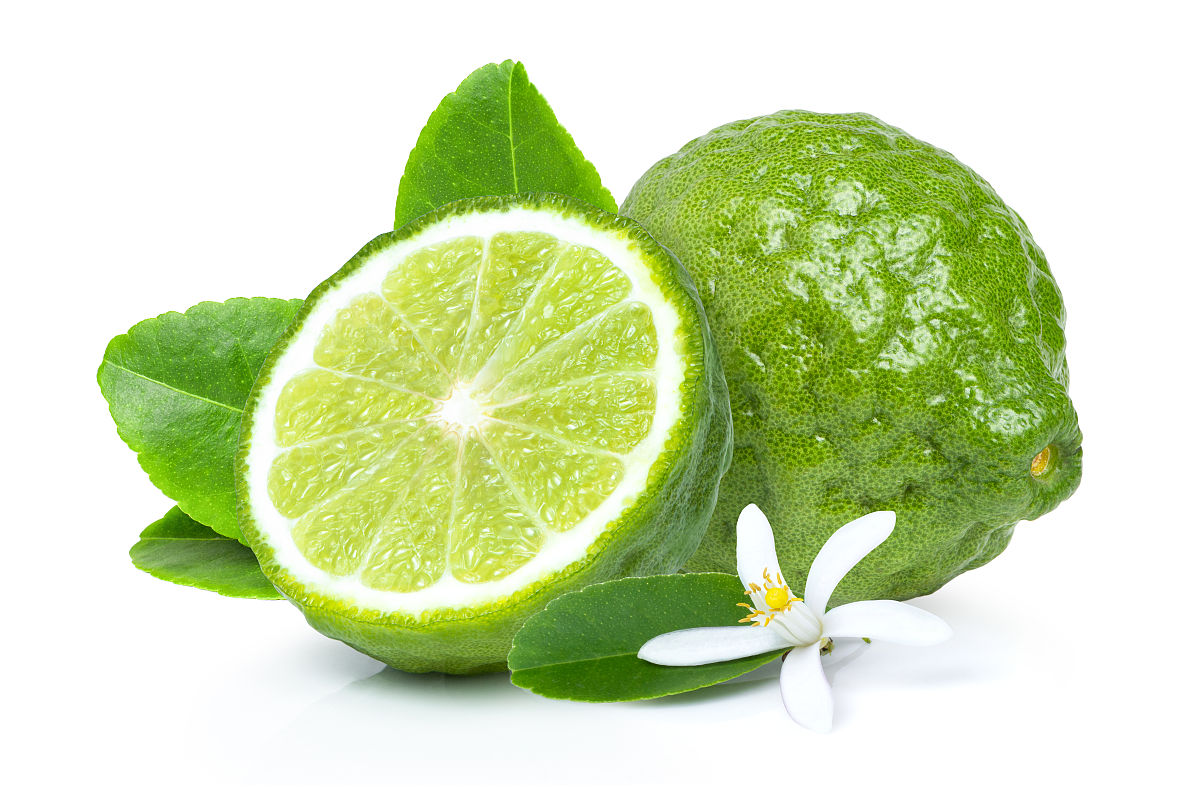 佛手大的贵还是小的贵回答+拓展