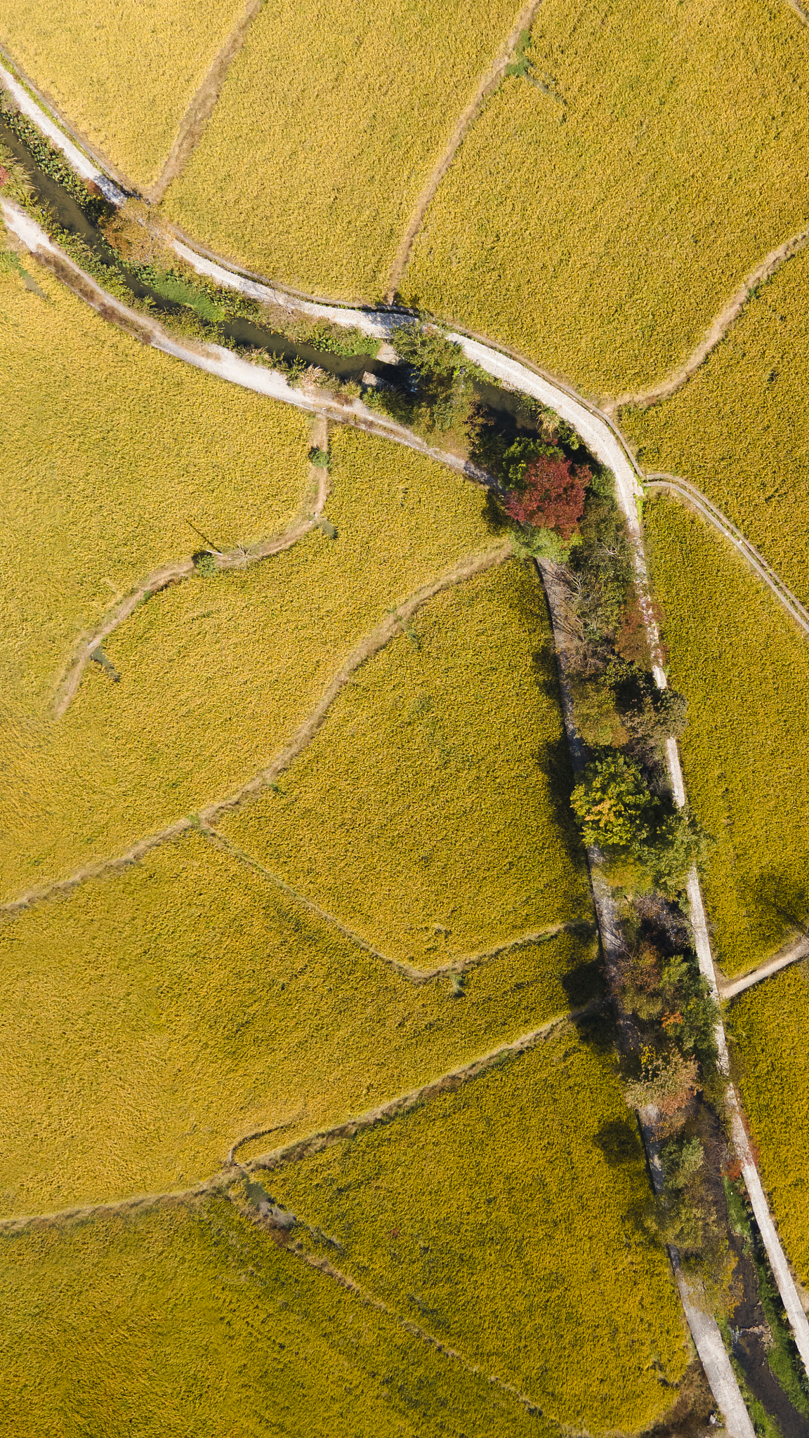 ホックホクの意味 - 日本語擬声語で表現する美味しい食べ物