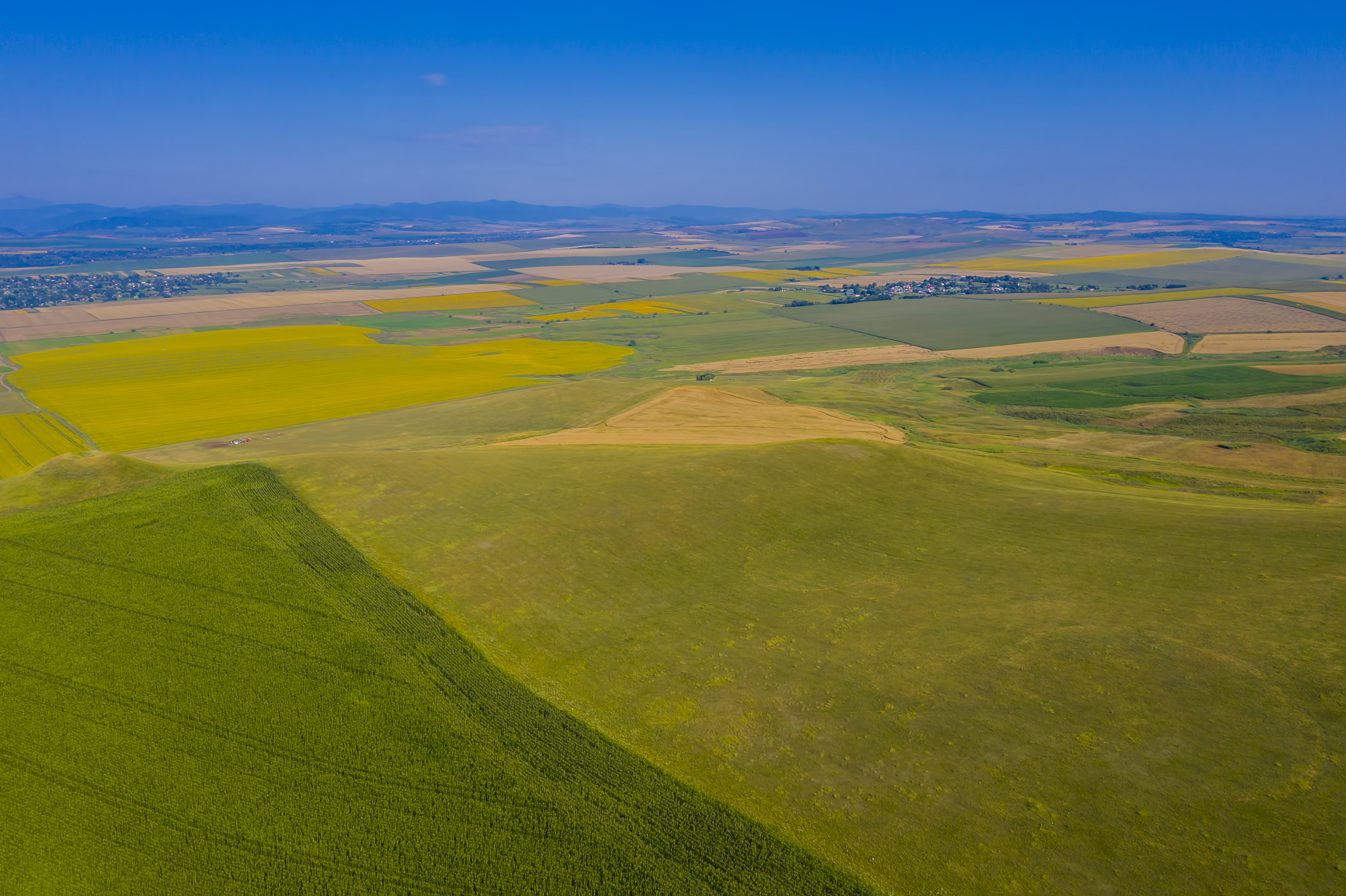 aerial view of pasture and fields