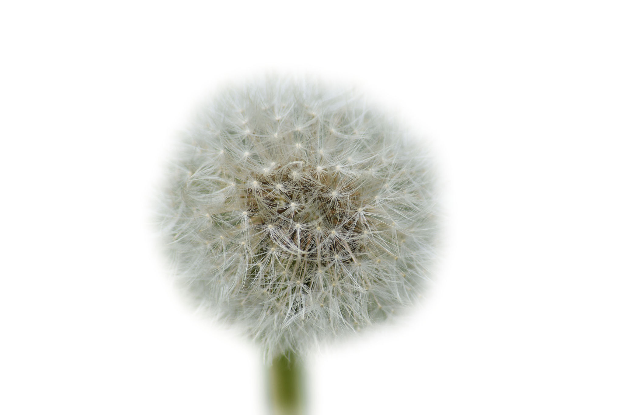 邻水县柑子职业技术学校种子生产技术专业教学主要内容都有哪些好不好