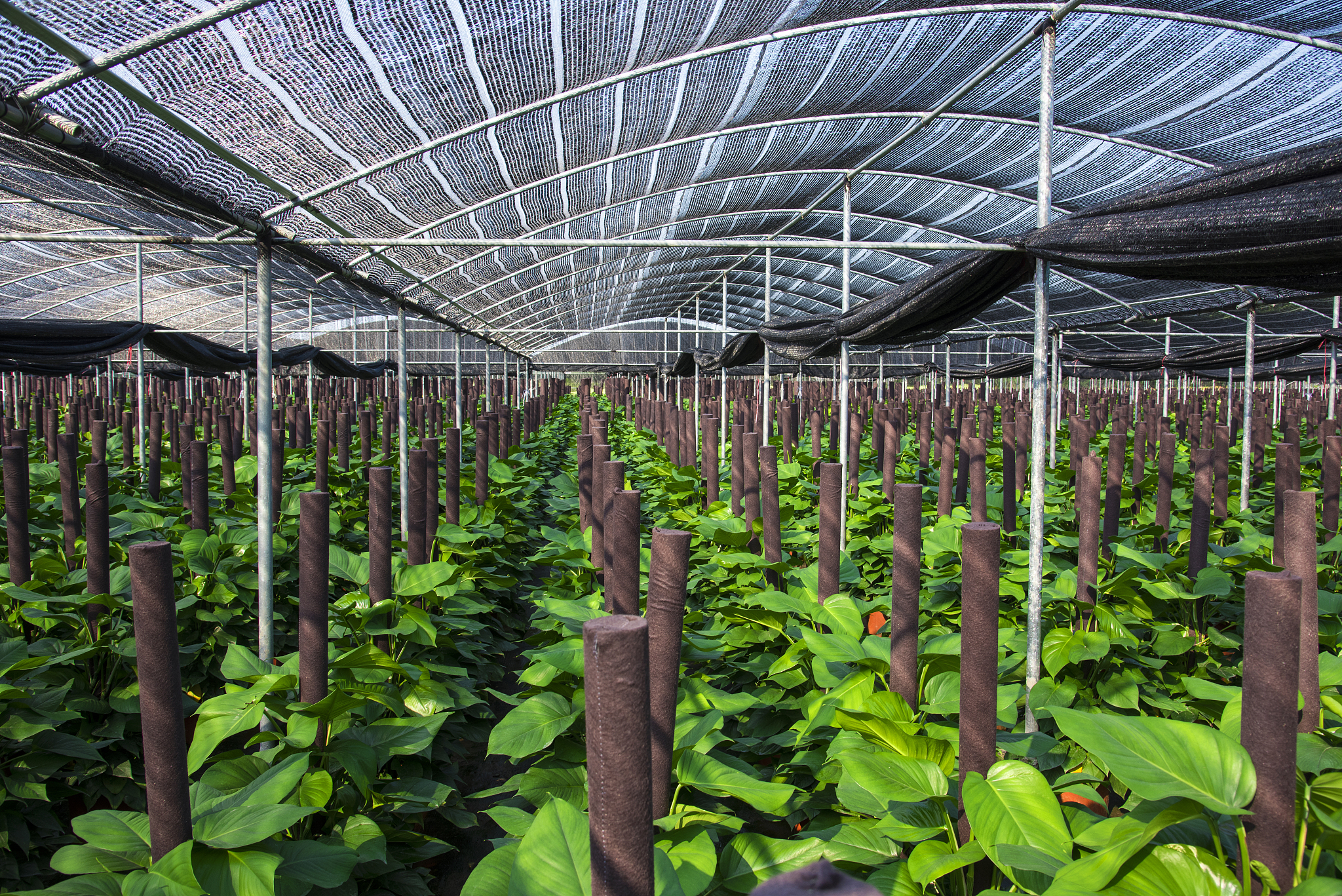 重庆第二农业学校2022年招生专业