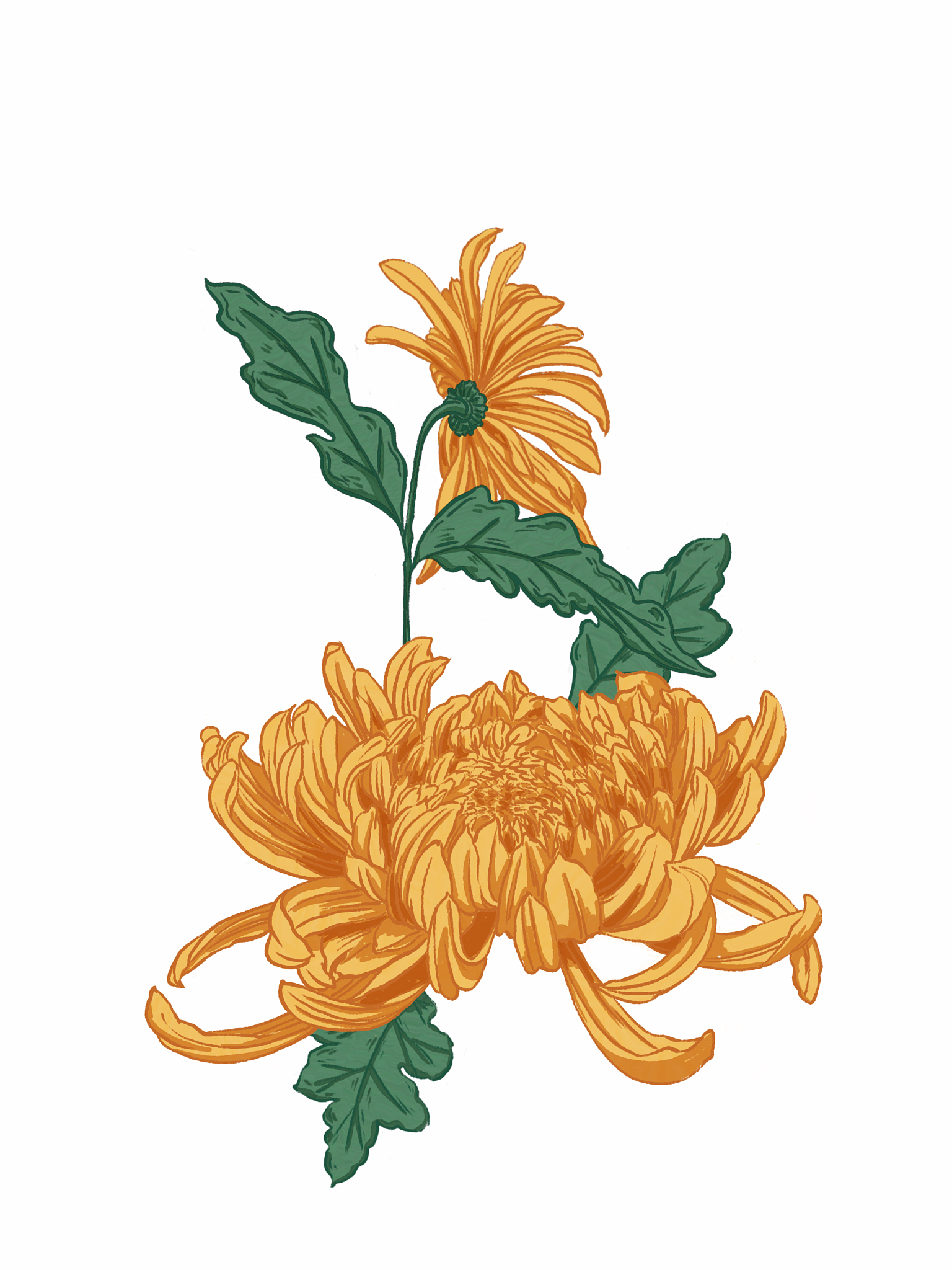 重阳节的由来重阳节的习俗有哪些