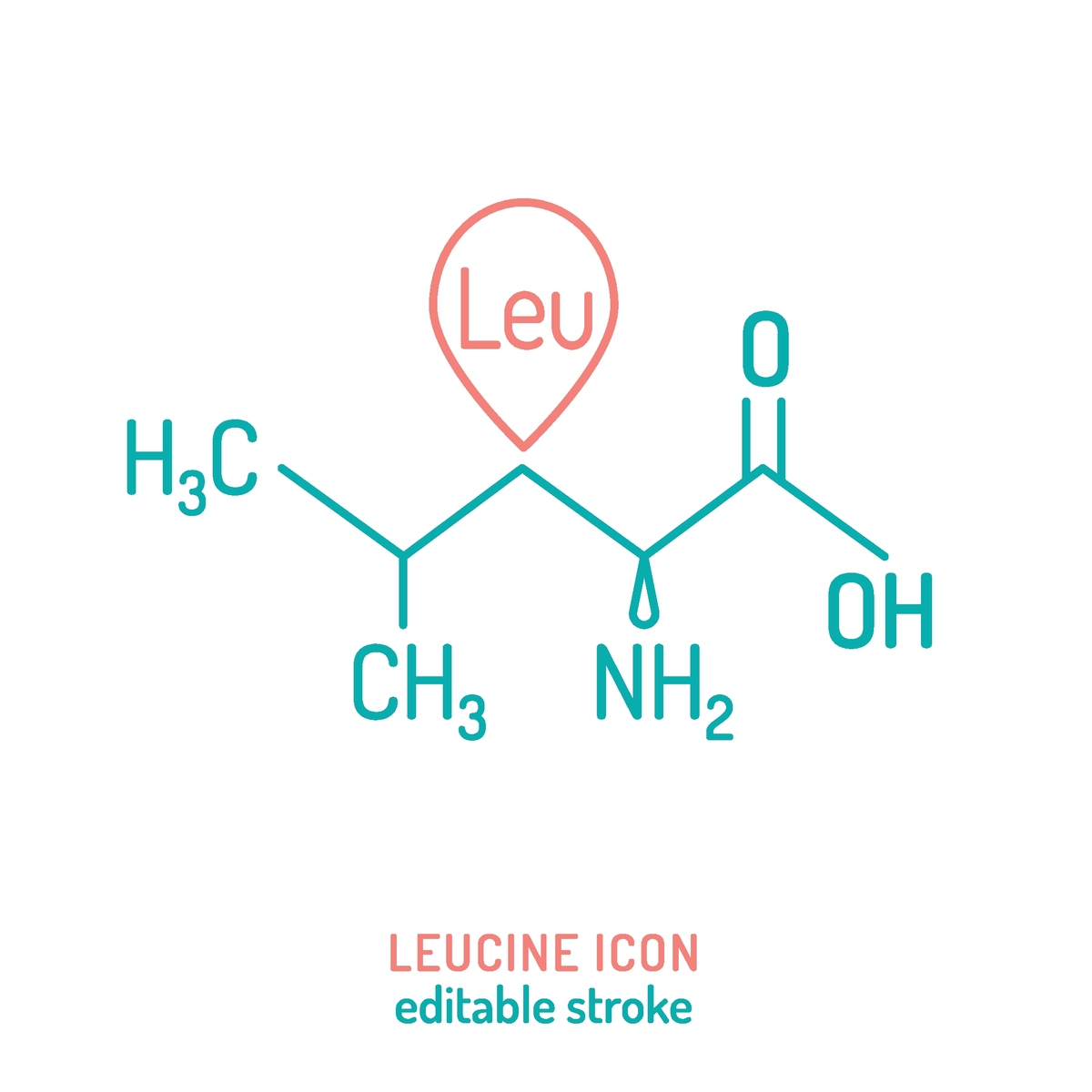 精氨酸与麦芽糖反应生成麦芽酸