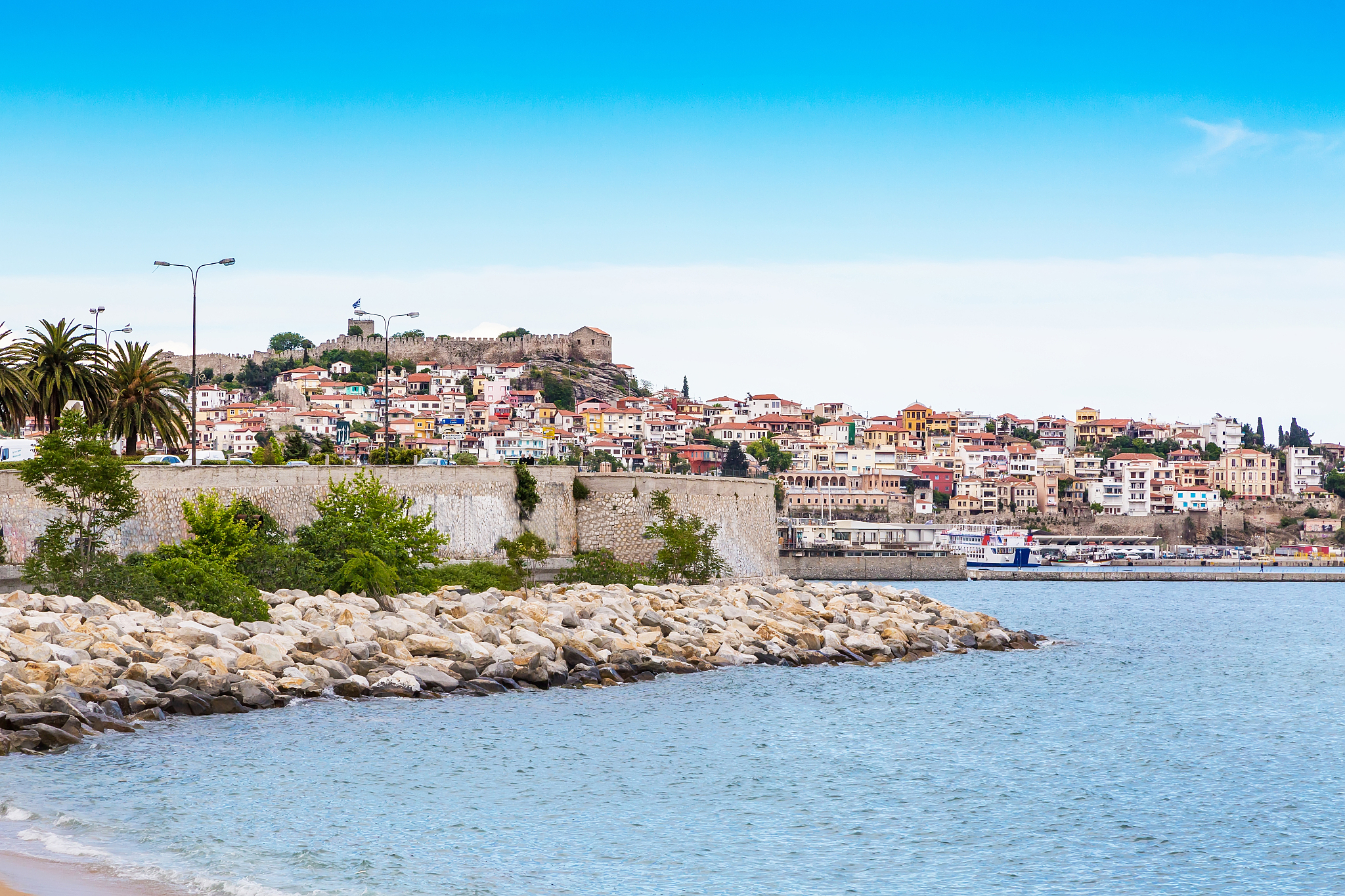 GRAS Statement for Kavain: Safety and Quality Assurance