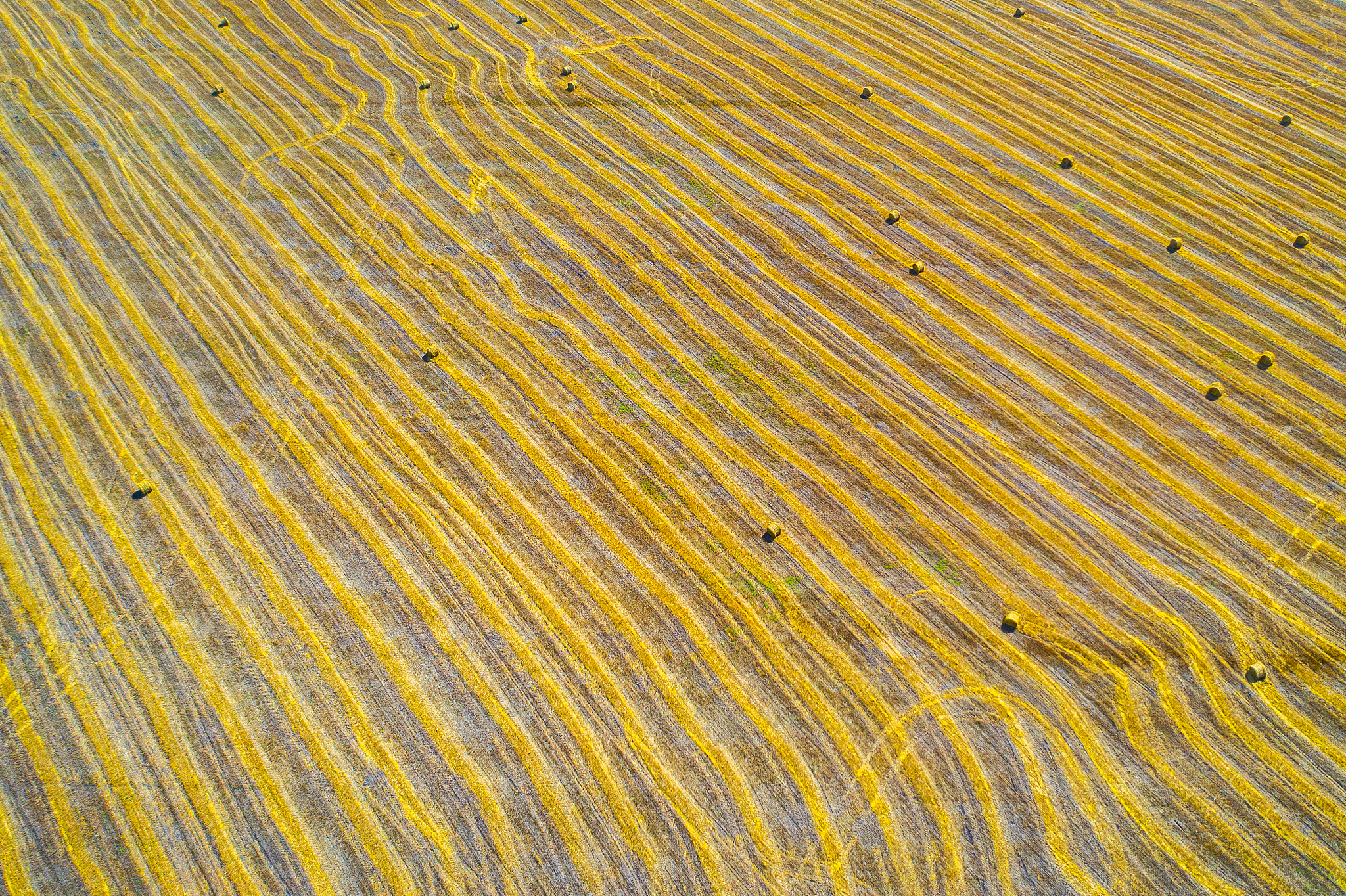 原平农业学校2022年招生简章：专业设置、报名条件、流程