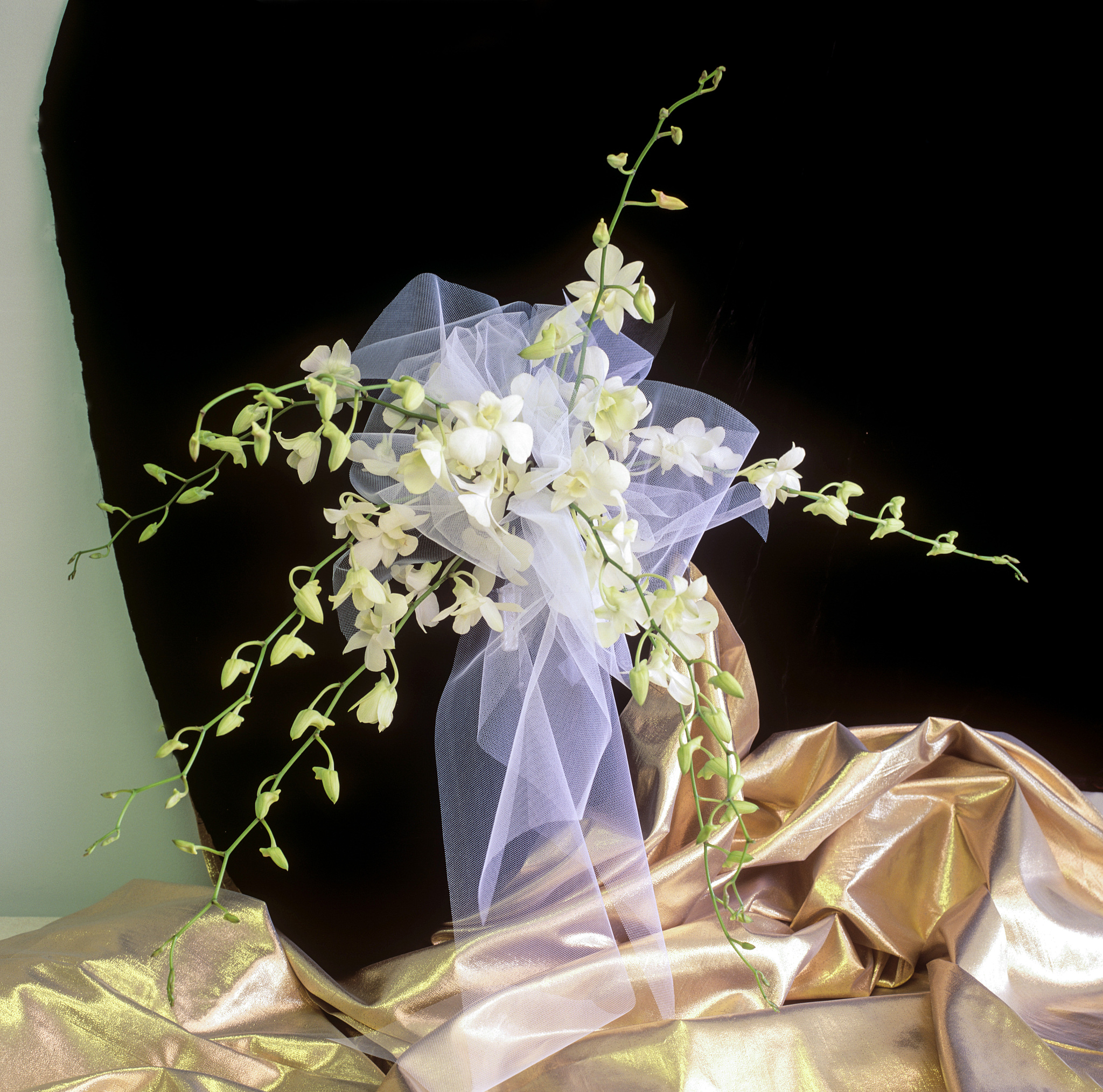 white dendrobium bridal bouquet