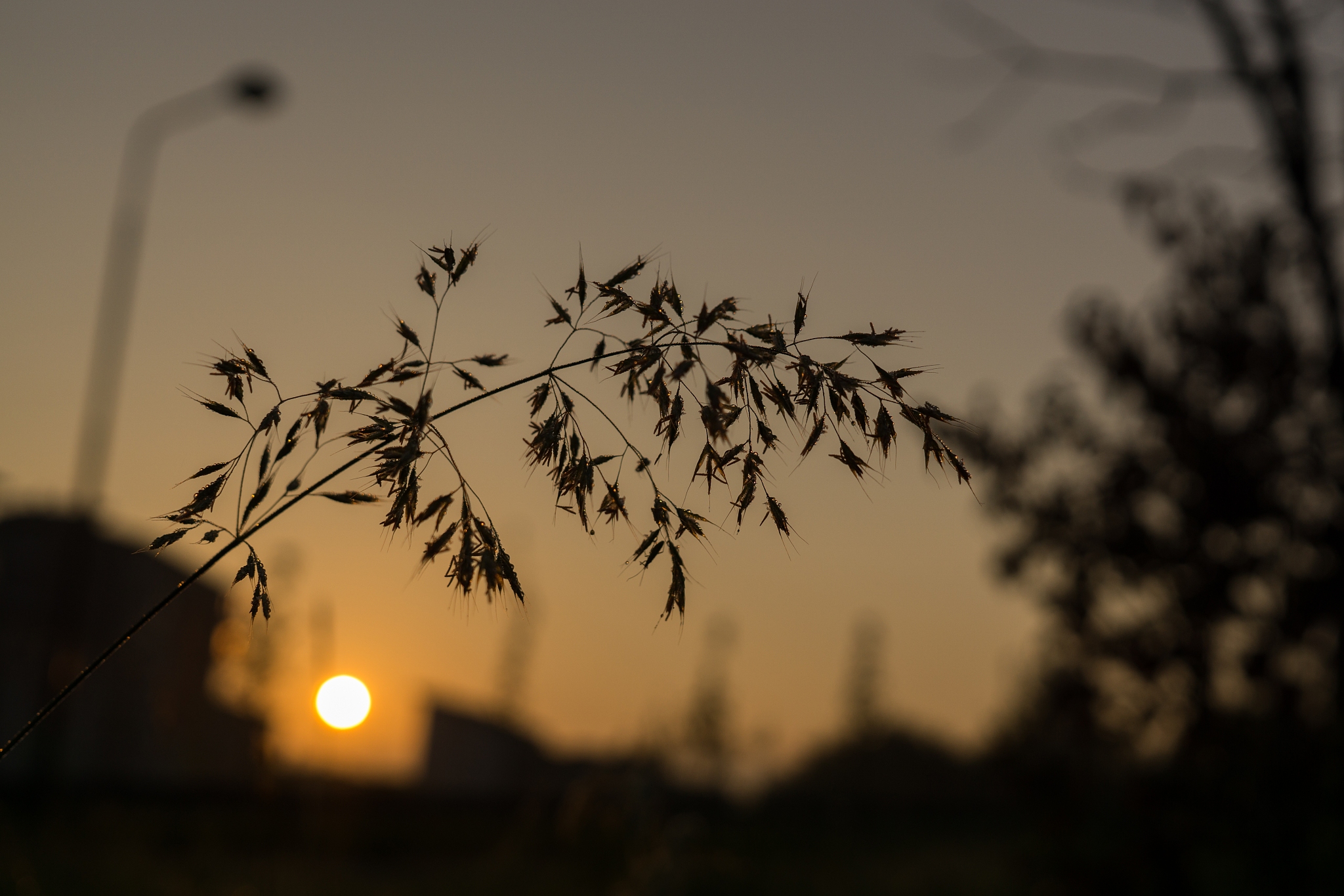 漂泊在外，心却始终牵挂着家乡，那些温暖的记忆，是我前行的力量