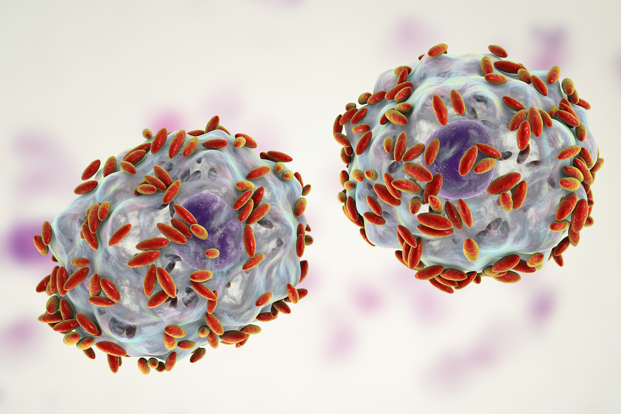 眉山卫生学校2019助产专业招生中专
