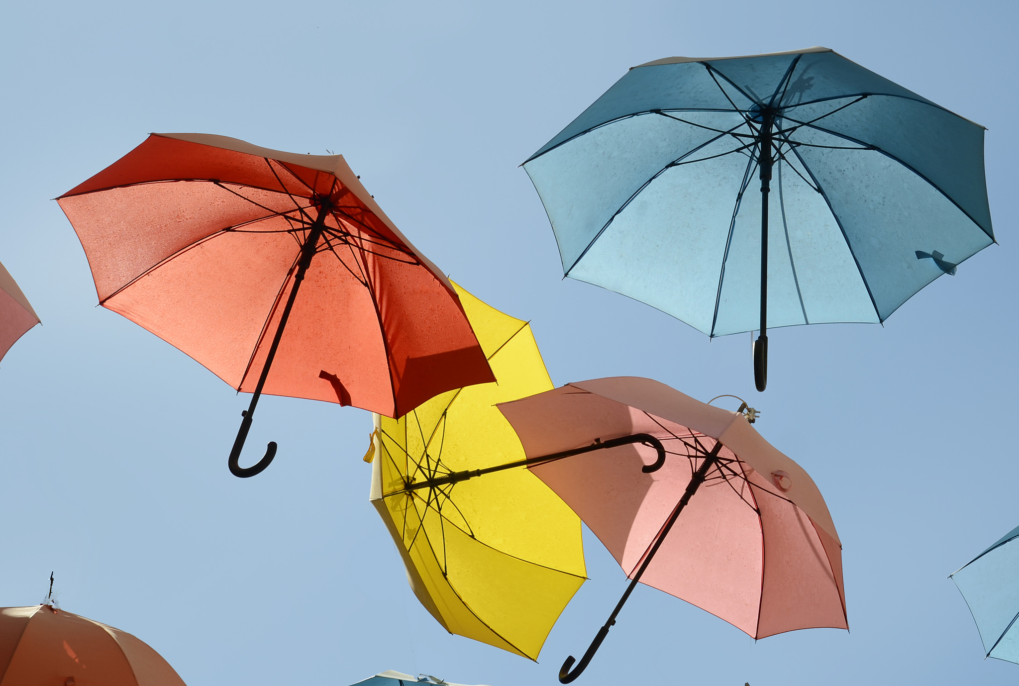 don't let your umbrellas fly