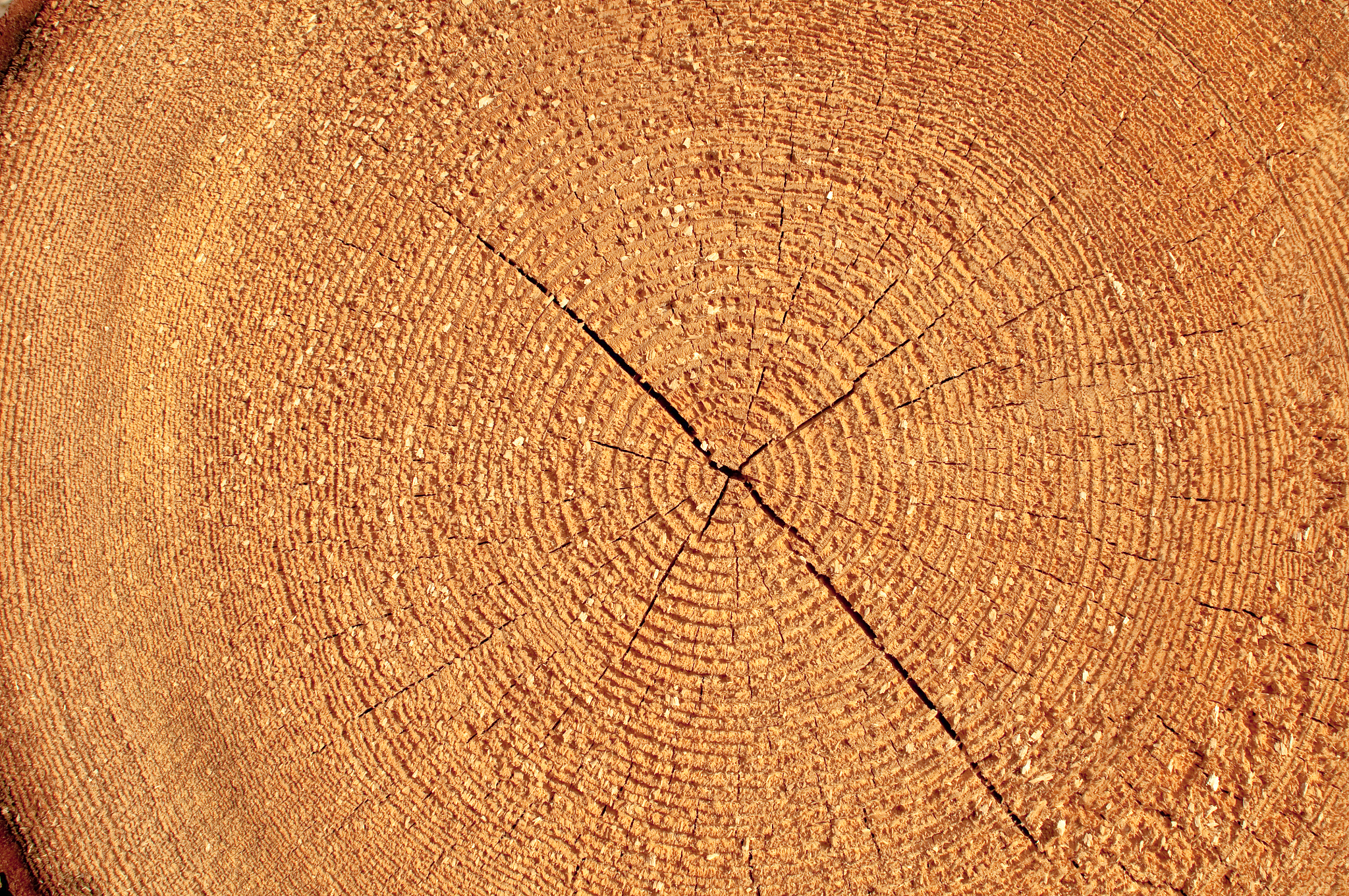 新冠病毒在体外存活时间