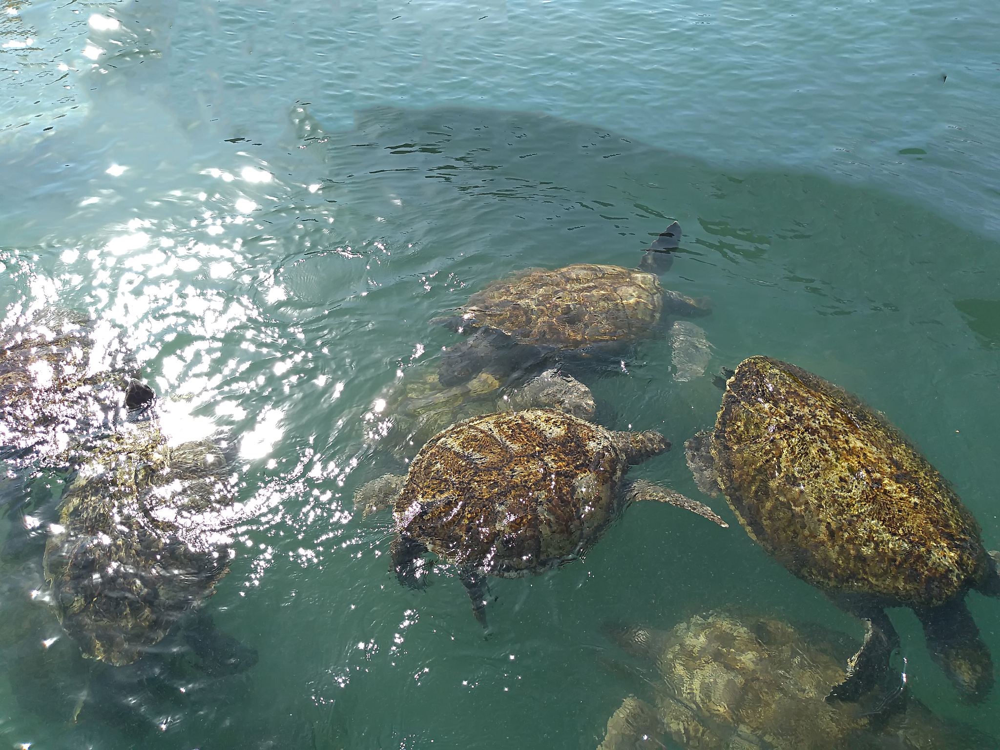 写一遍50字的小说