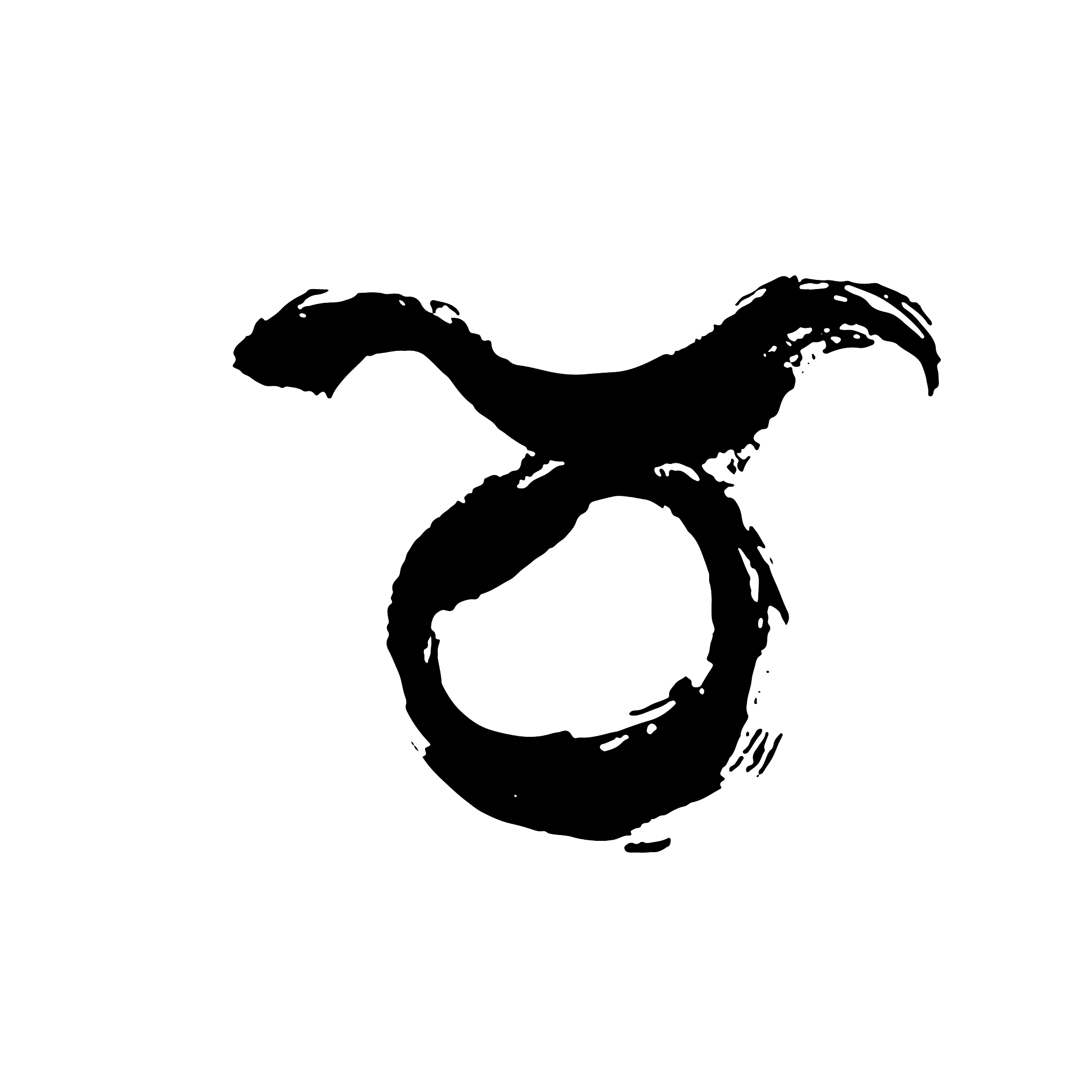 zodiac sign taurus dry brush