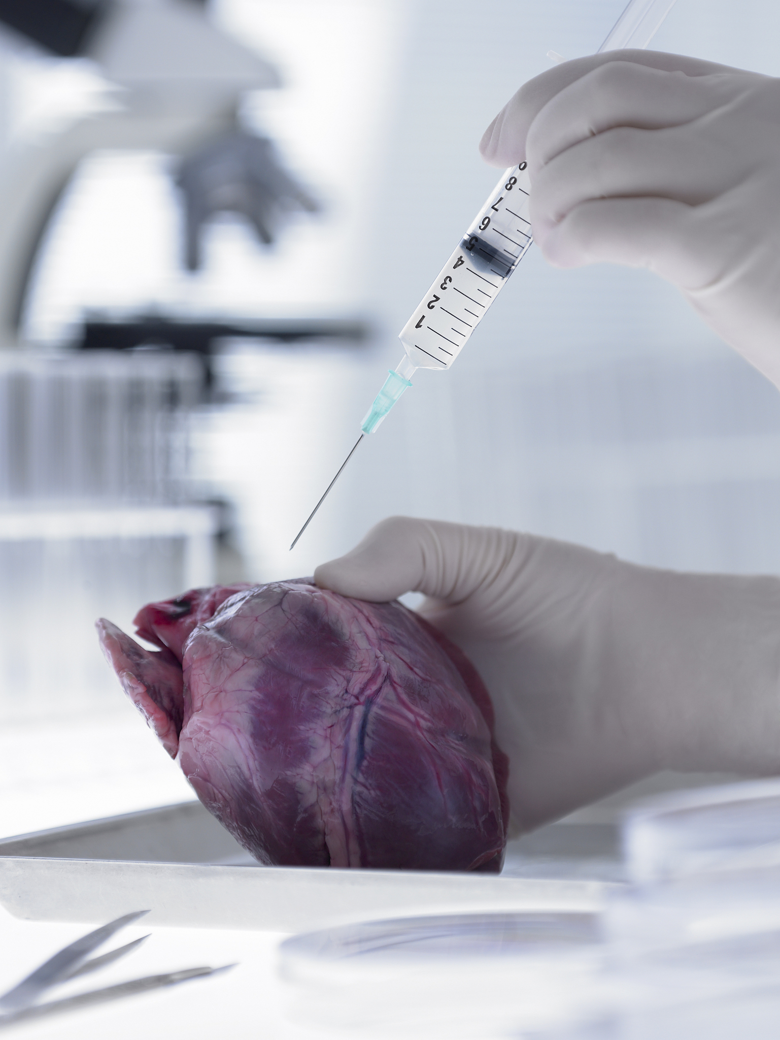 scientist injecting heart with syringe
