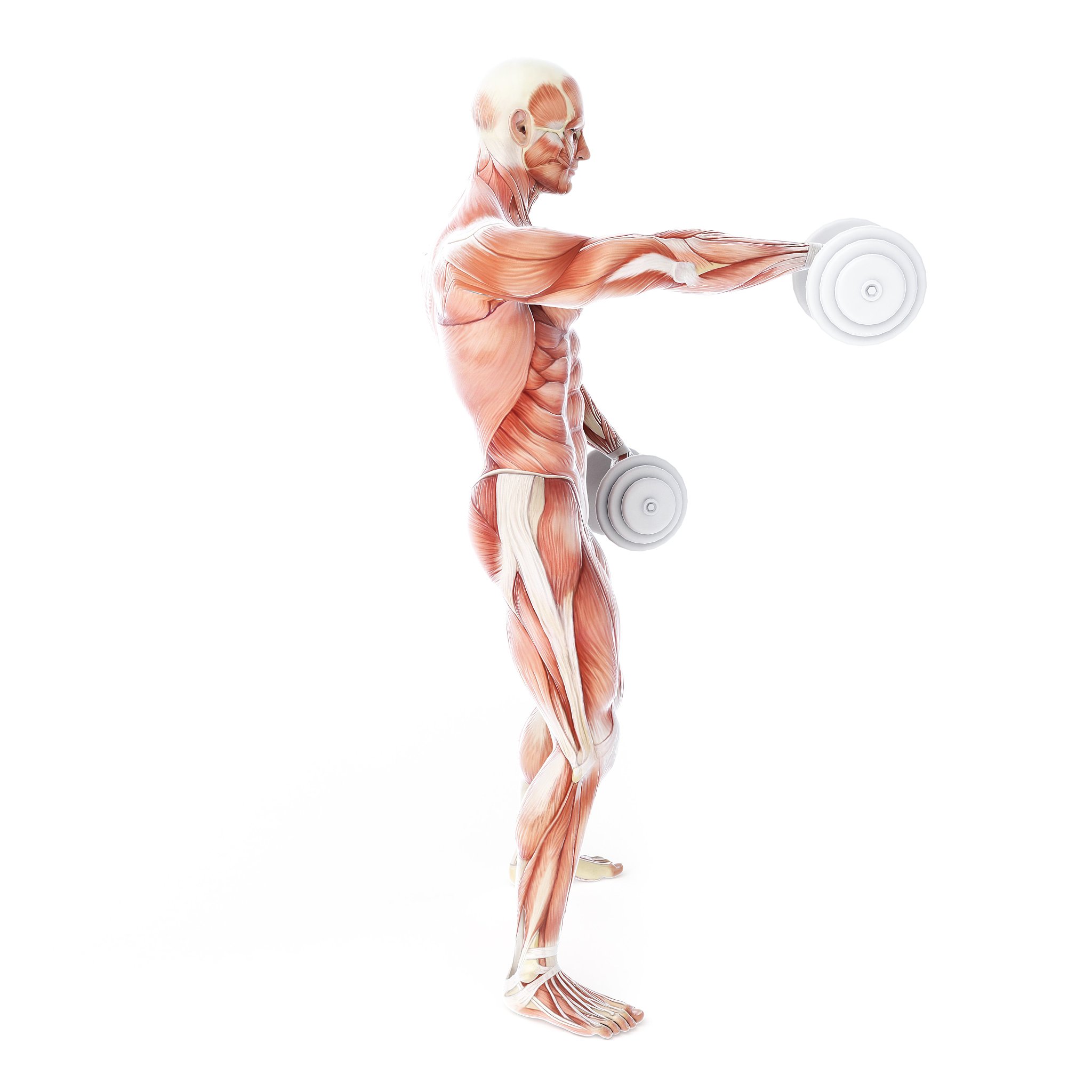 举重运动员的力量有多大？不可思议的肌肉爆发力！