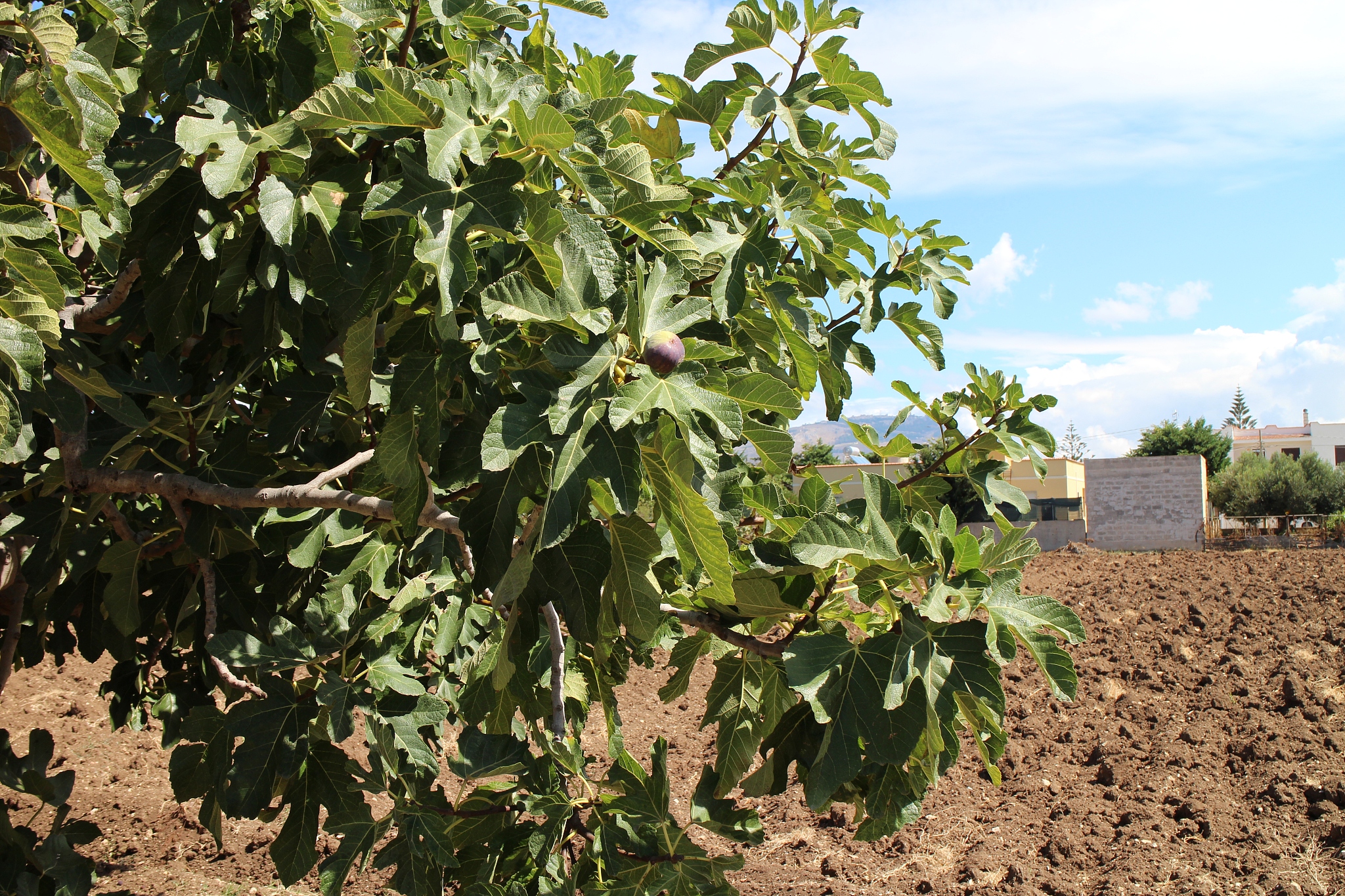 玉溪农业职业技术学院官网：专业设置、师资力量、校园生活全方位介绍