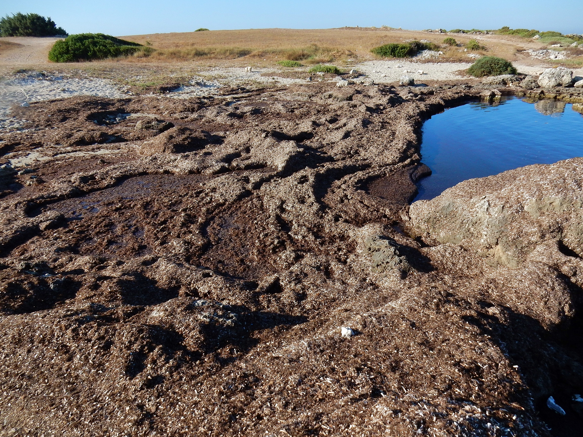 资金匮乏致使国家公园管理失效，导致资源破坏