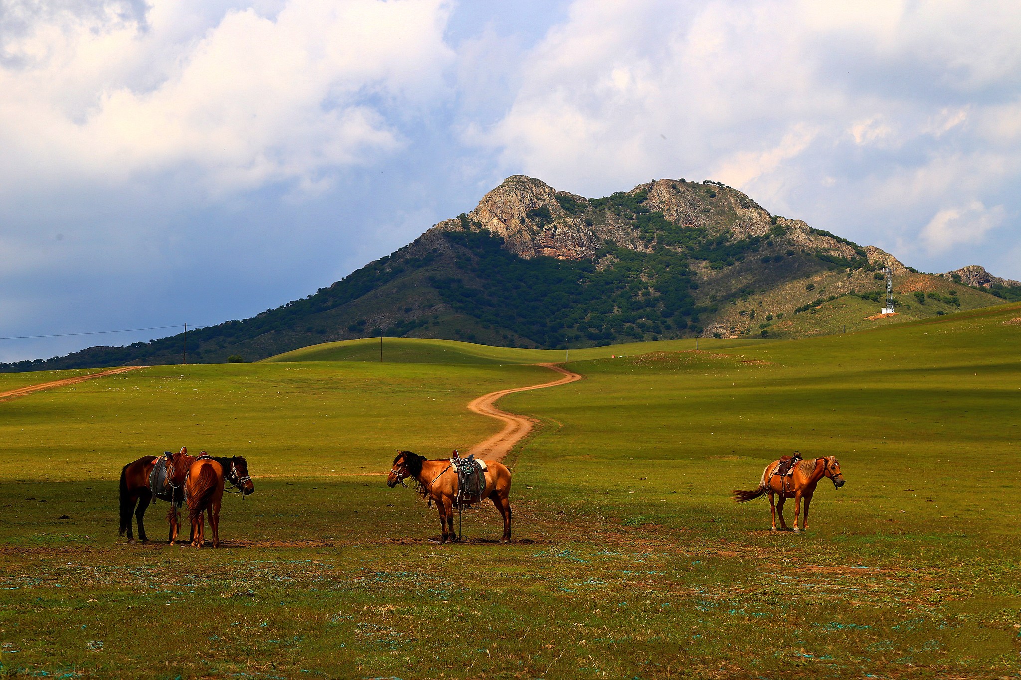 内蒙古最佳旅游时间：夏季草原盛景，秋季层林尽染