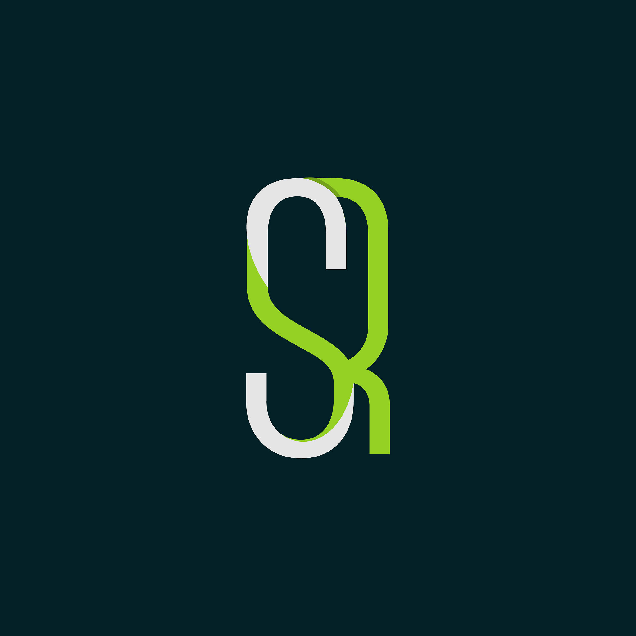 letter sr creative modern business logo
