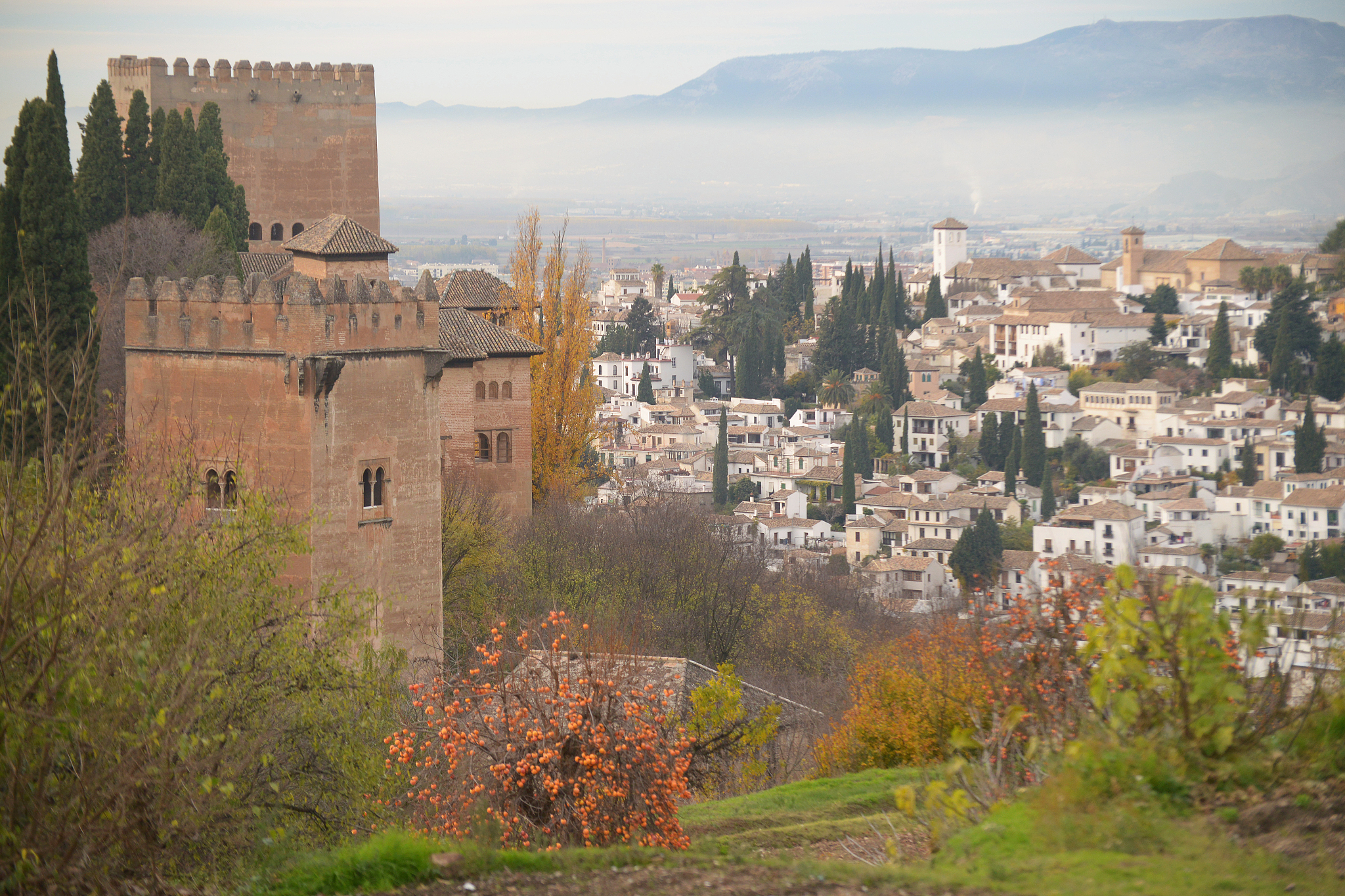 alhambra and city of granada