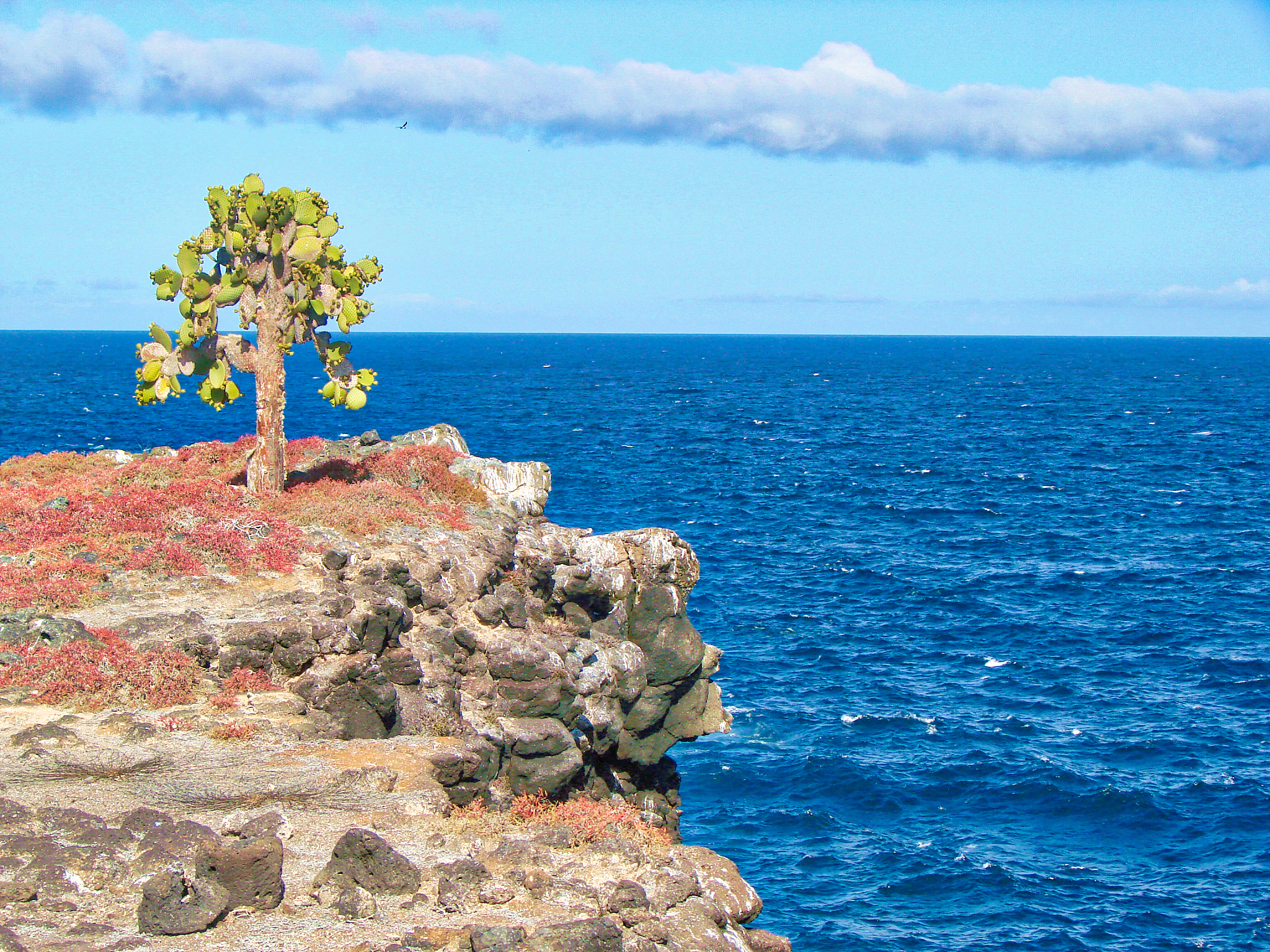 中国自然保护区类型与级别划分详解