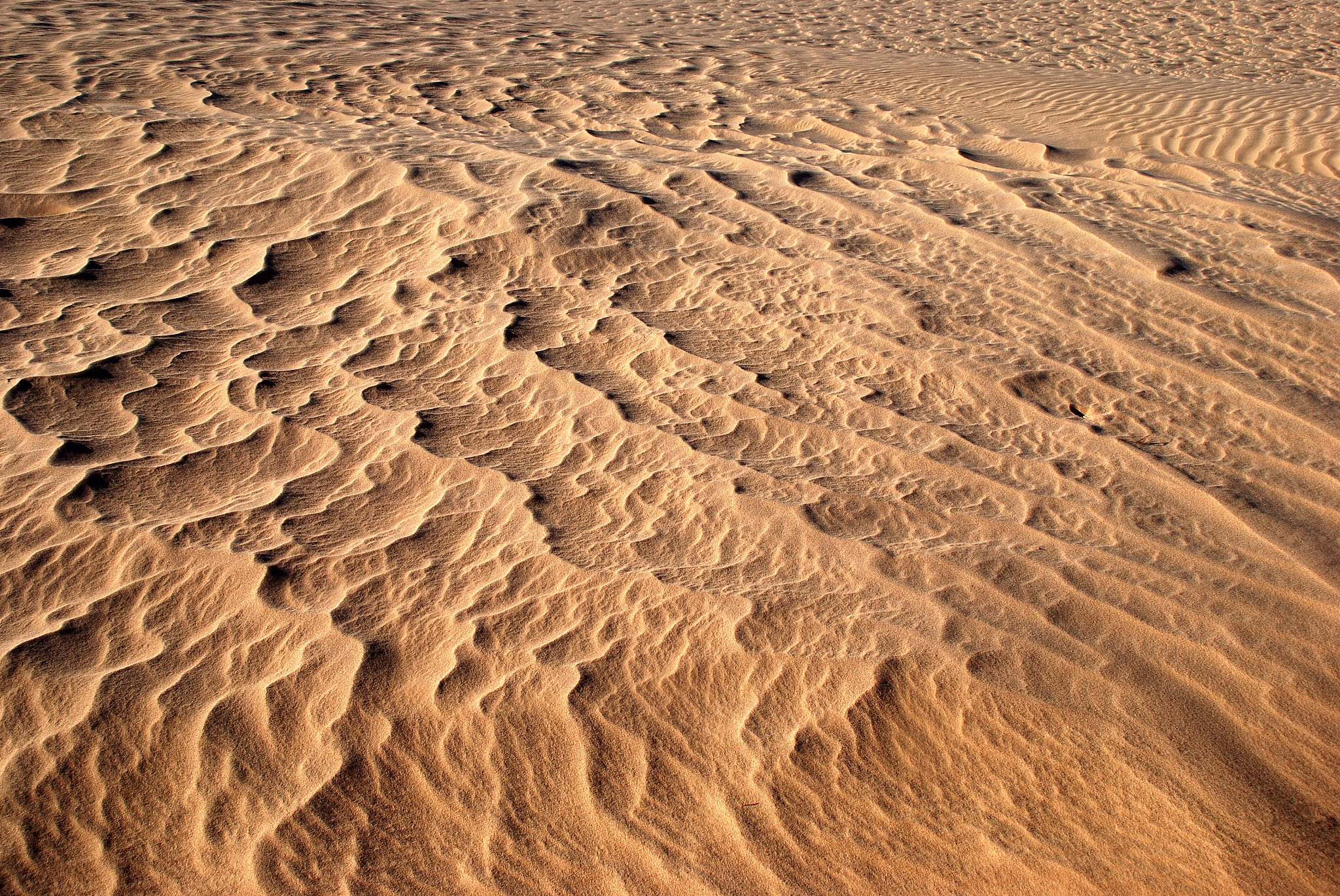 beautiful wave pattern in the desert sand
