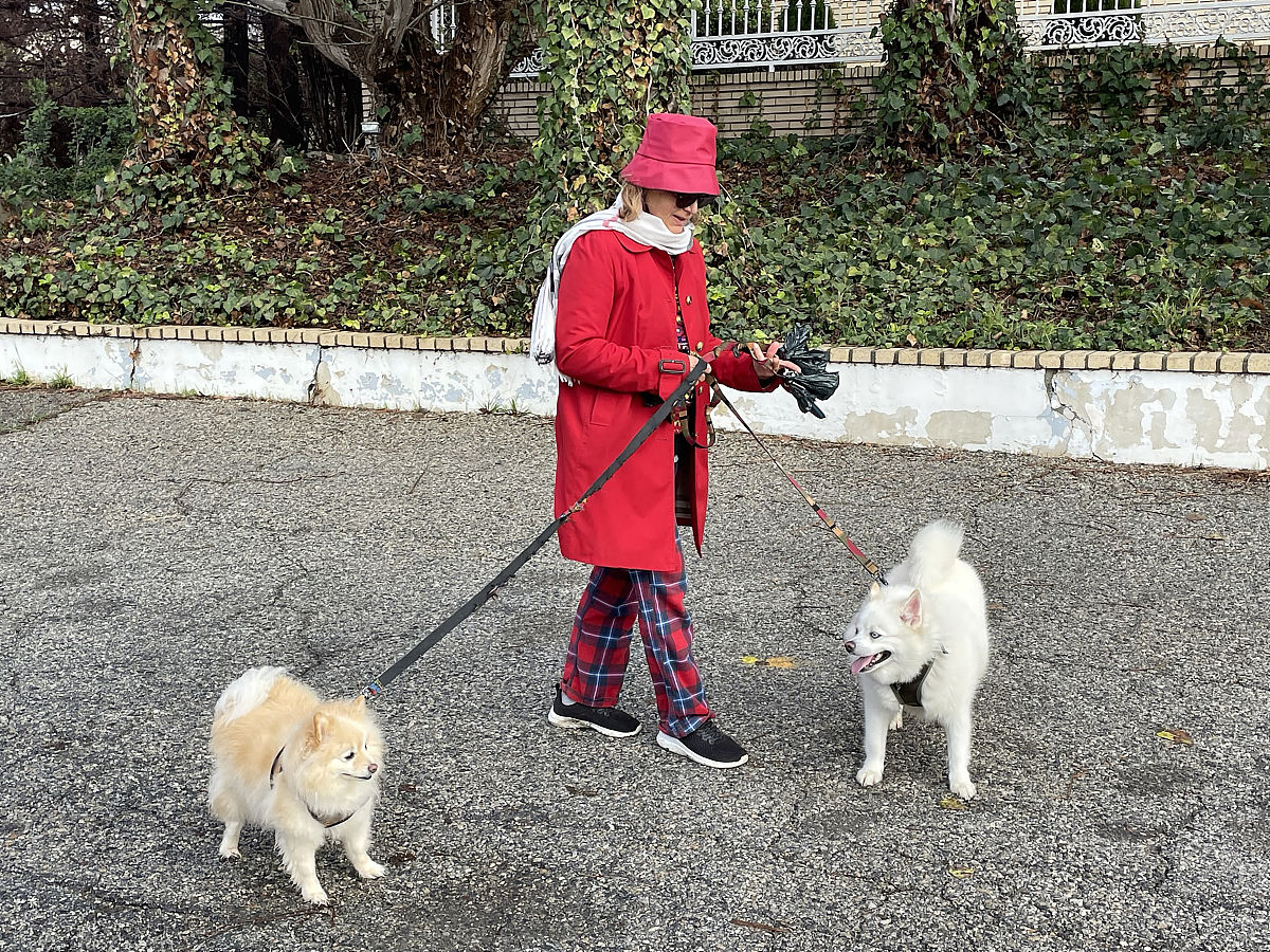 一楼业主投诉宠物狗在门前绿化带里排泄+想要圈院子如何回复
